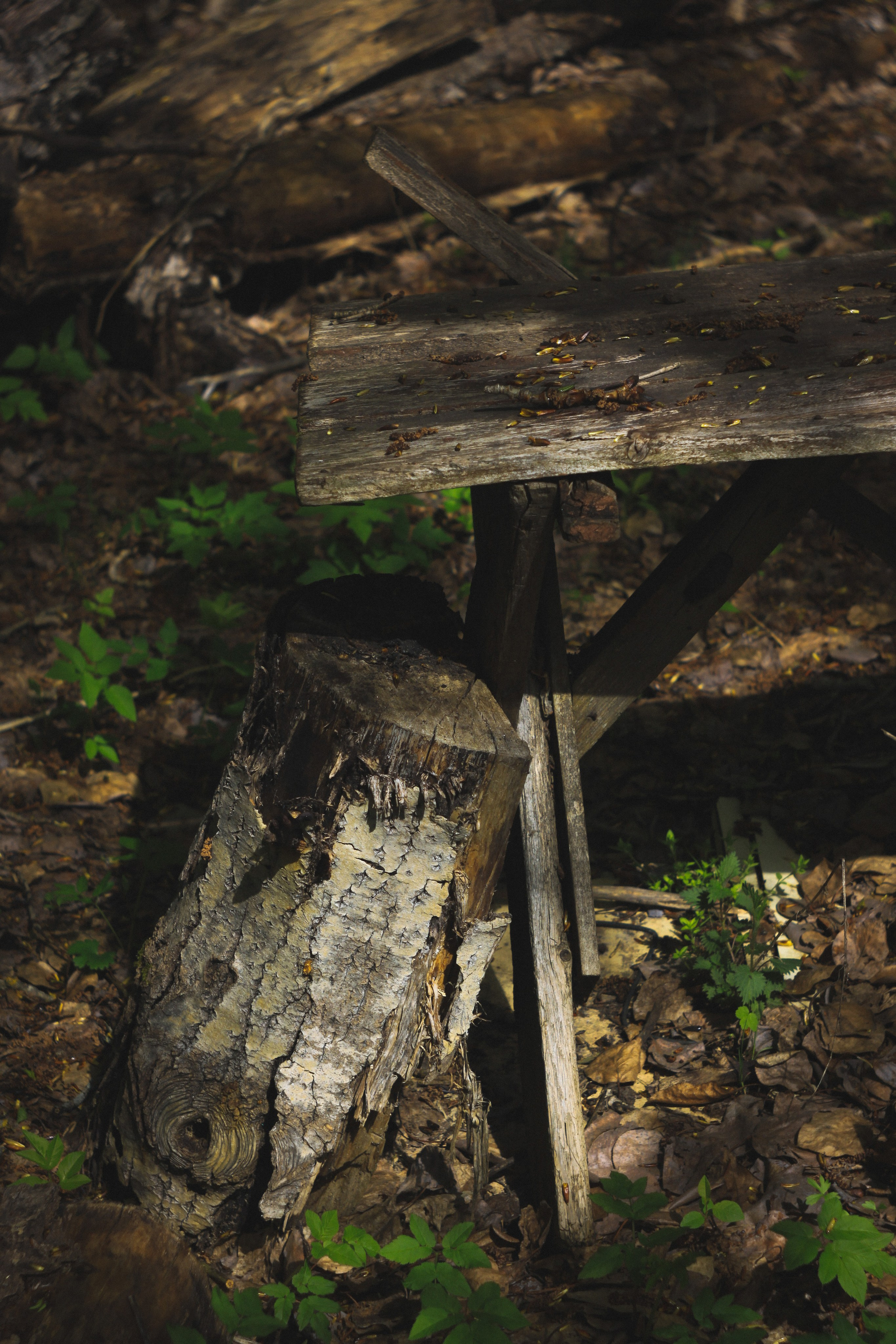 Khutor. Den Mirov — Photographer, Musician