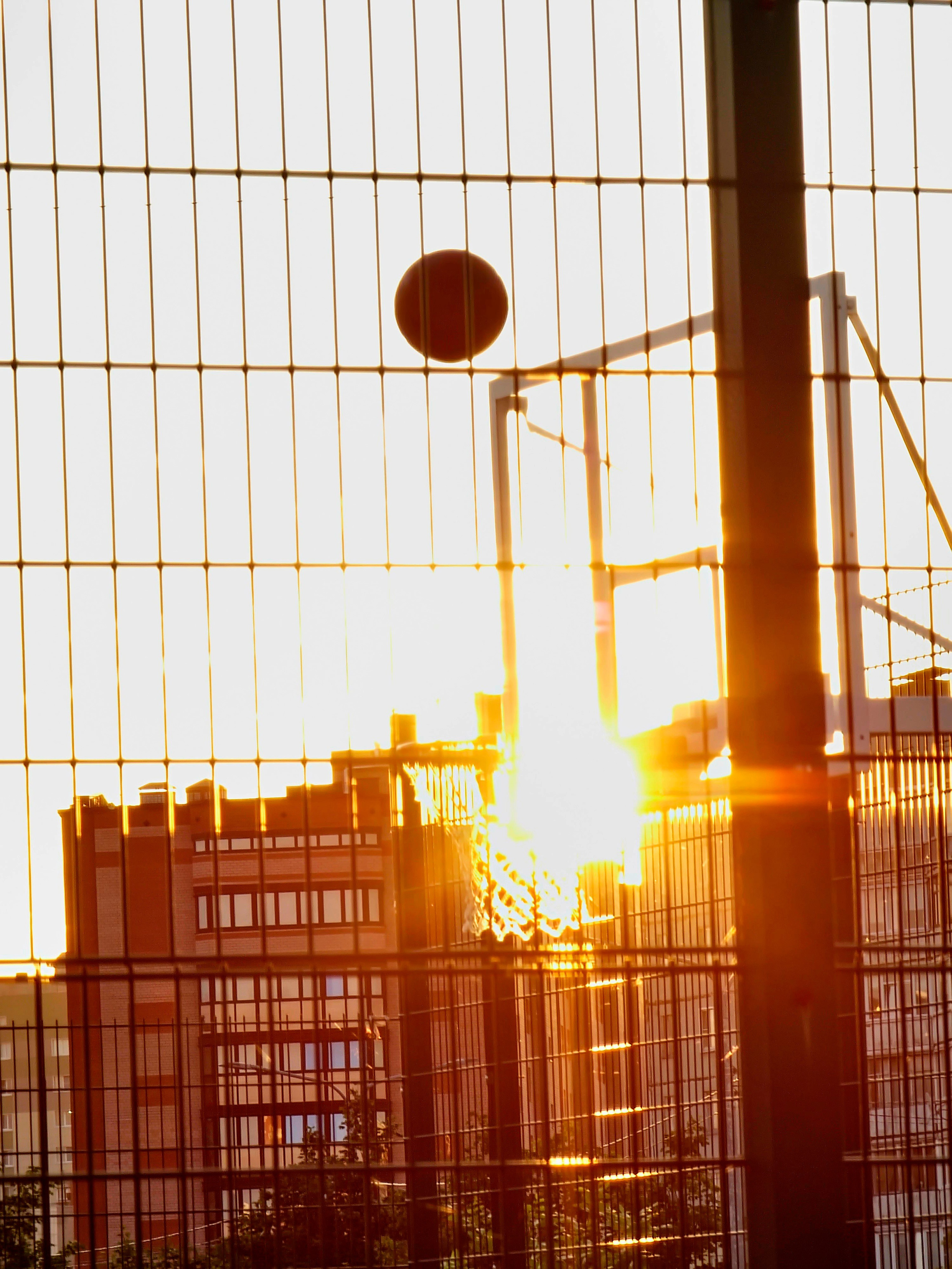 Июль 2025. Den Mirov — Фотограф, Музыкант