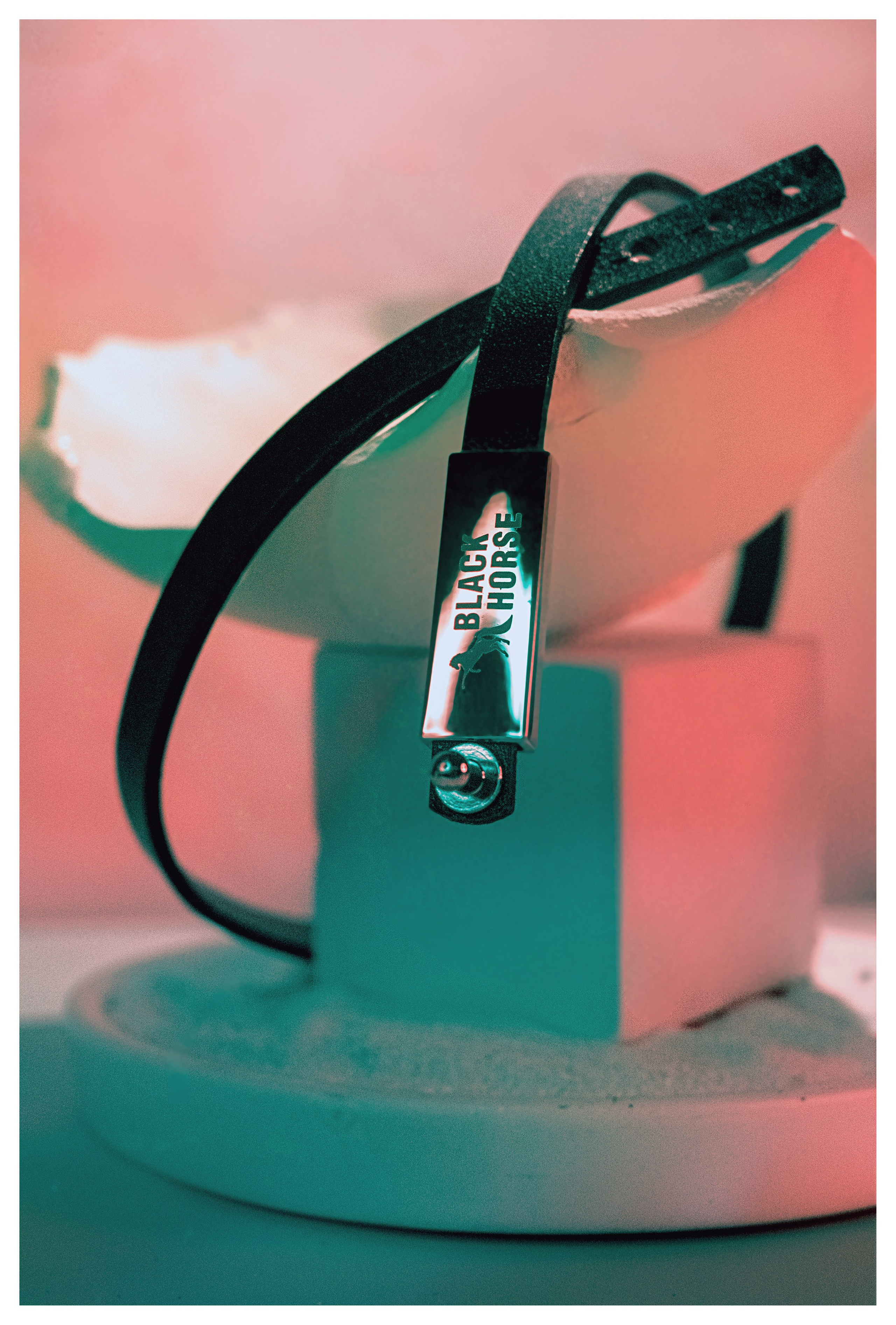 Black horse. Фотограф Алина Малина