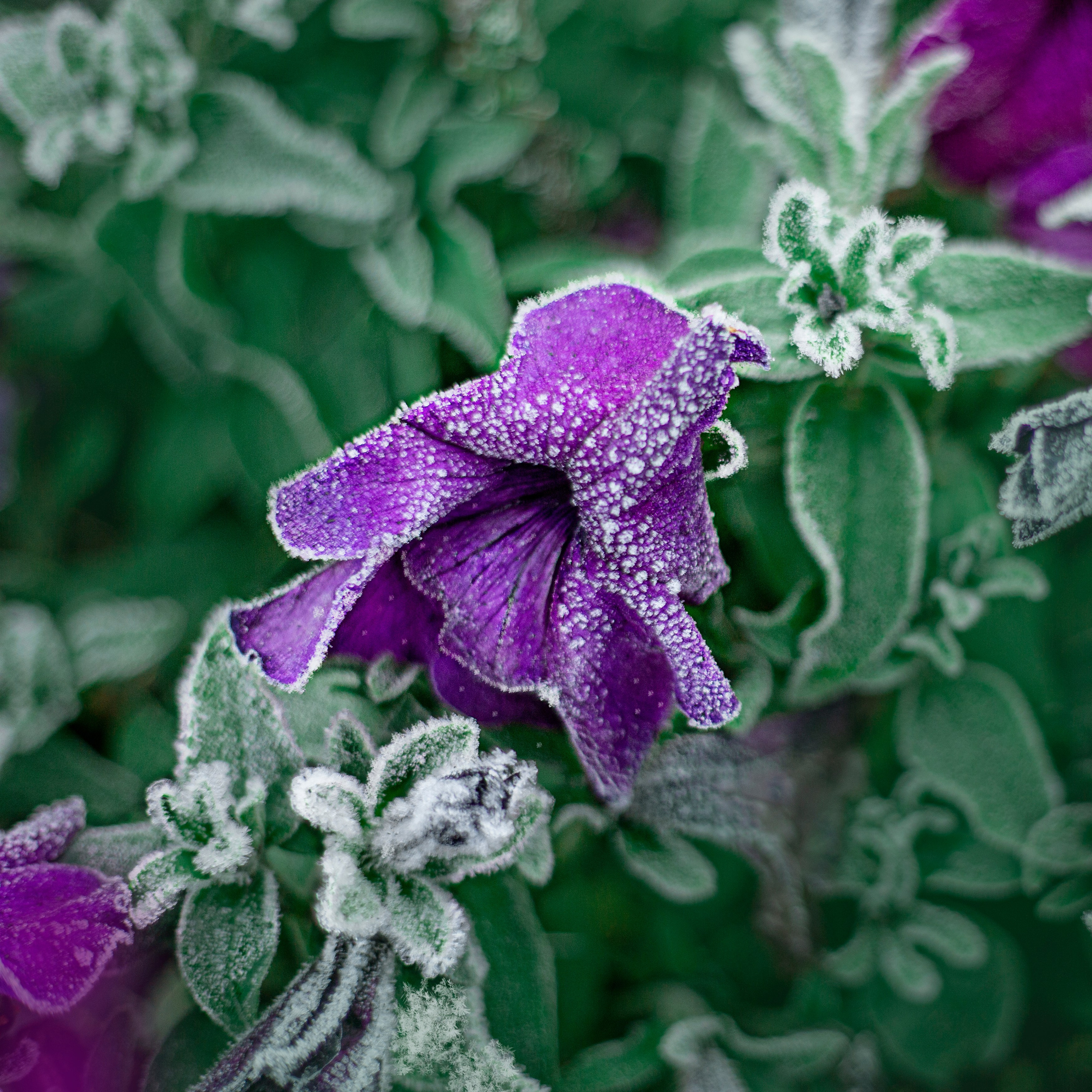 Просто красиво. Детский и семейный фотограф Барнаул Татьяна Губанова