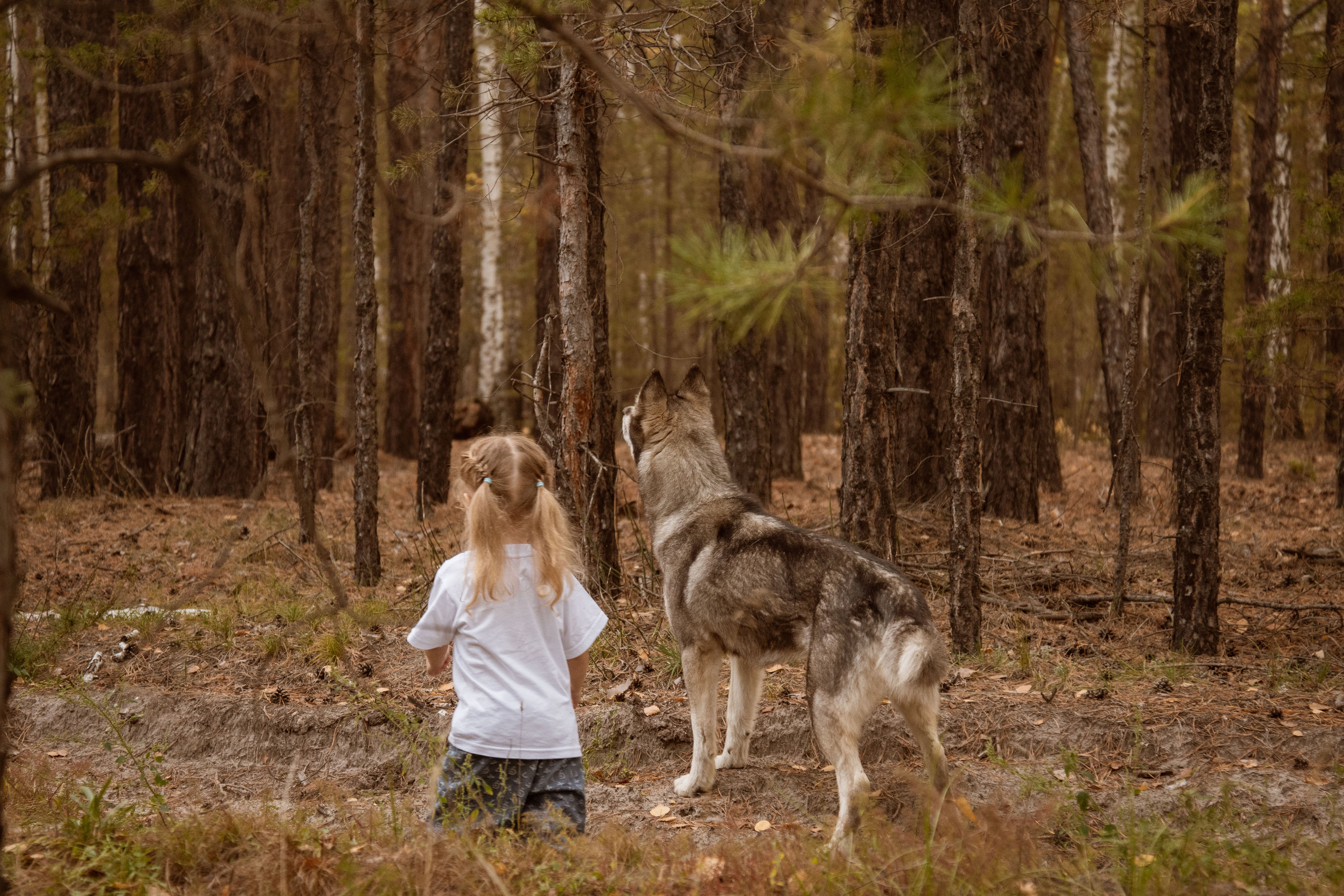 Семья Меншиковых. Фотографы в Тюмени Андрей и Лидия Войвод