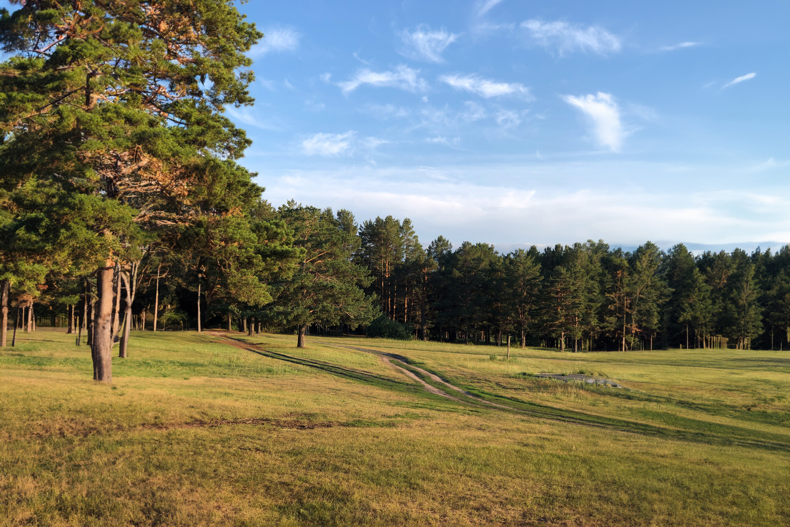 Отзывы. Фотографы в Тюмени Андрей и Лидия Войвод