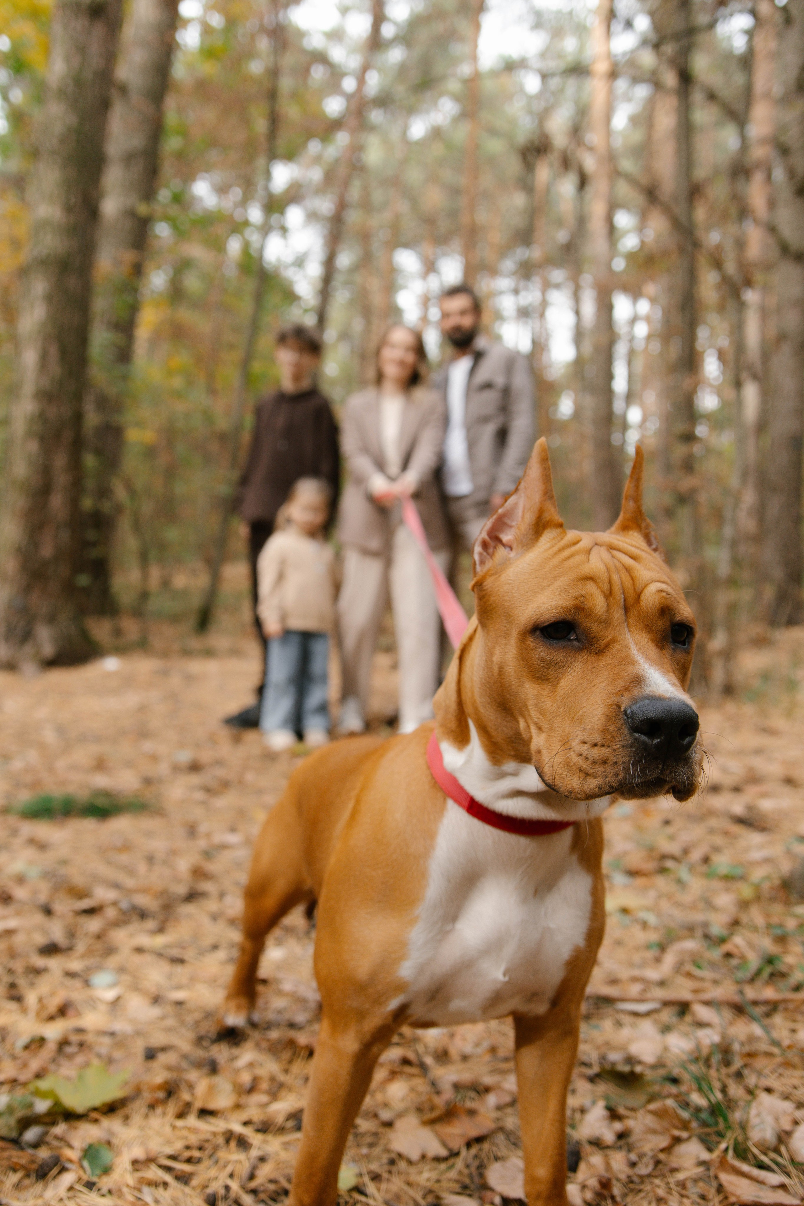 Семейные фотосессии. Фотограф в городе Лыткарино Волкова Ольга