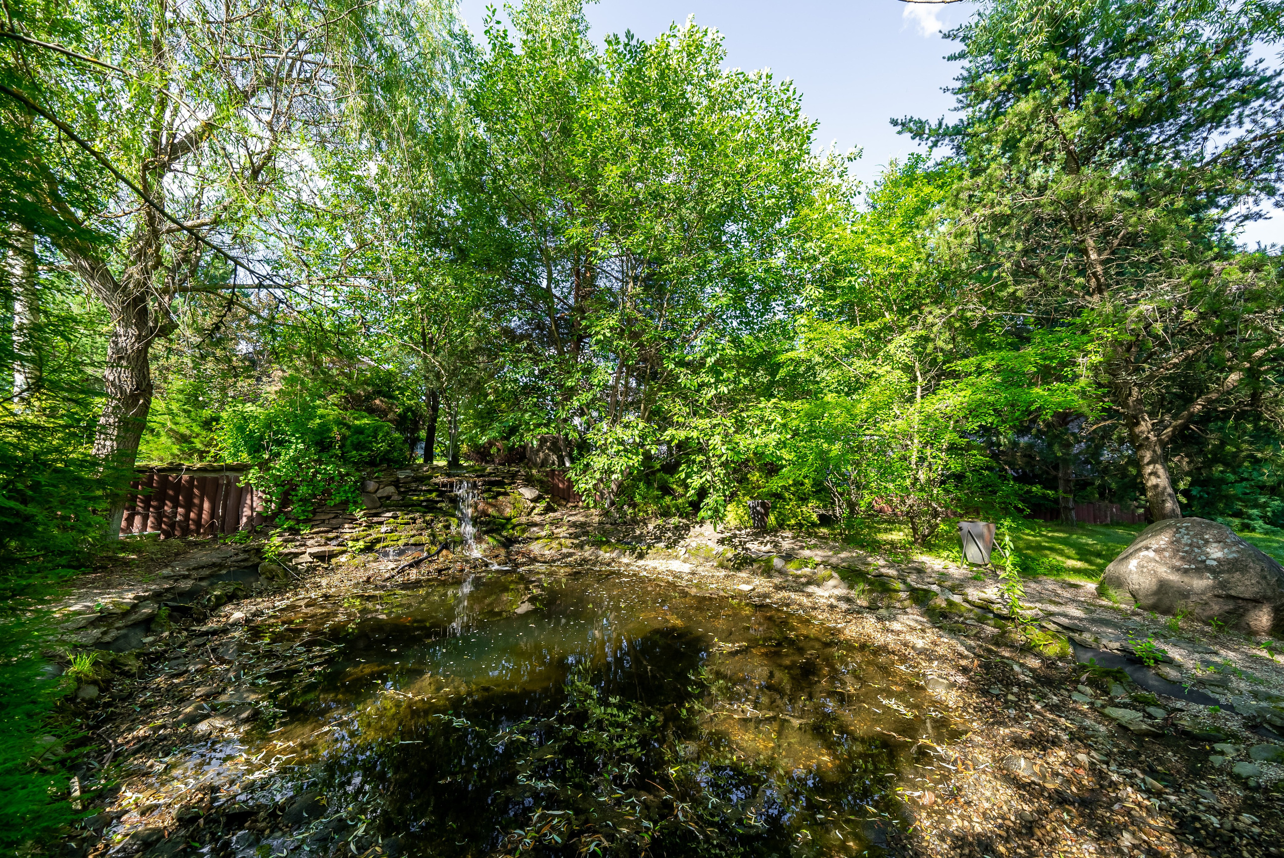 СНОВИДОВО. Фото и видео-съемка Андраник Хачатурян