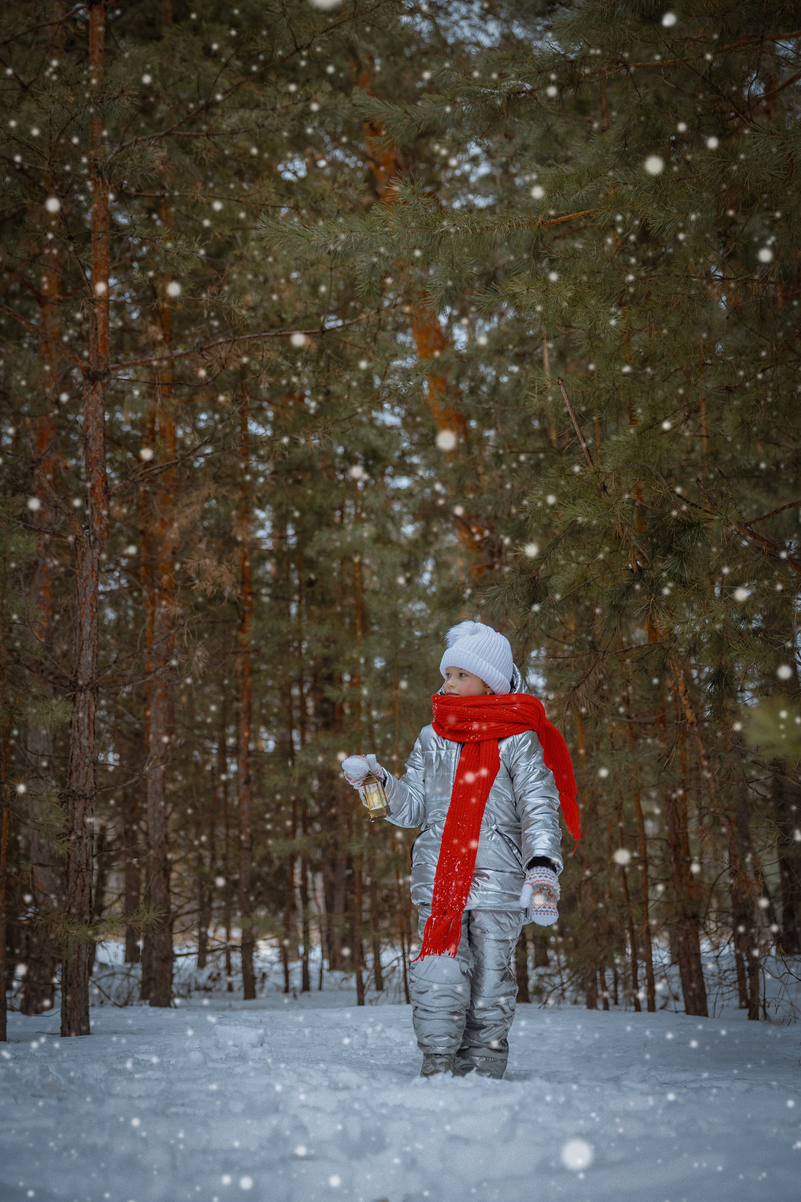 Волшебная съёмка в зимнем лесу. Фотограф Петров Александр Свадьбы, Съемка в студии, Выпускные альбомы г. Балашов