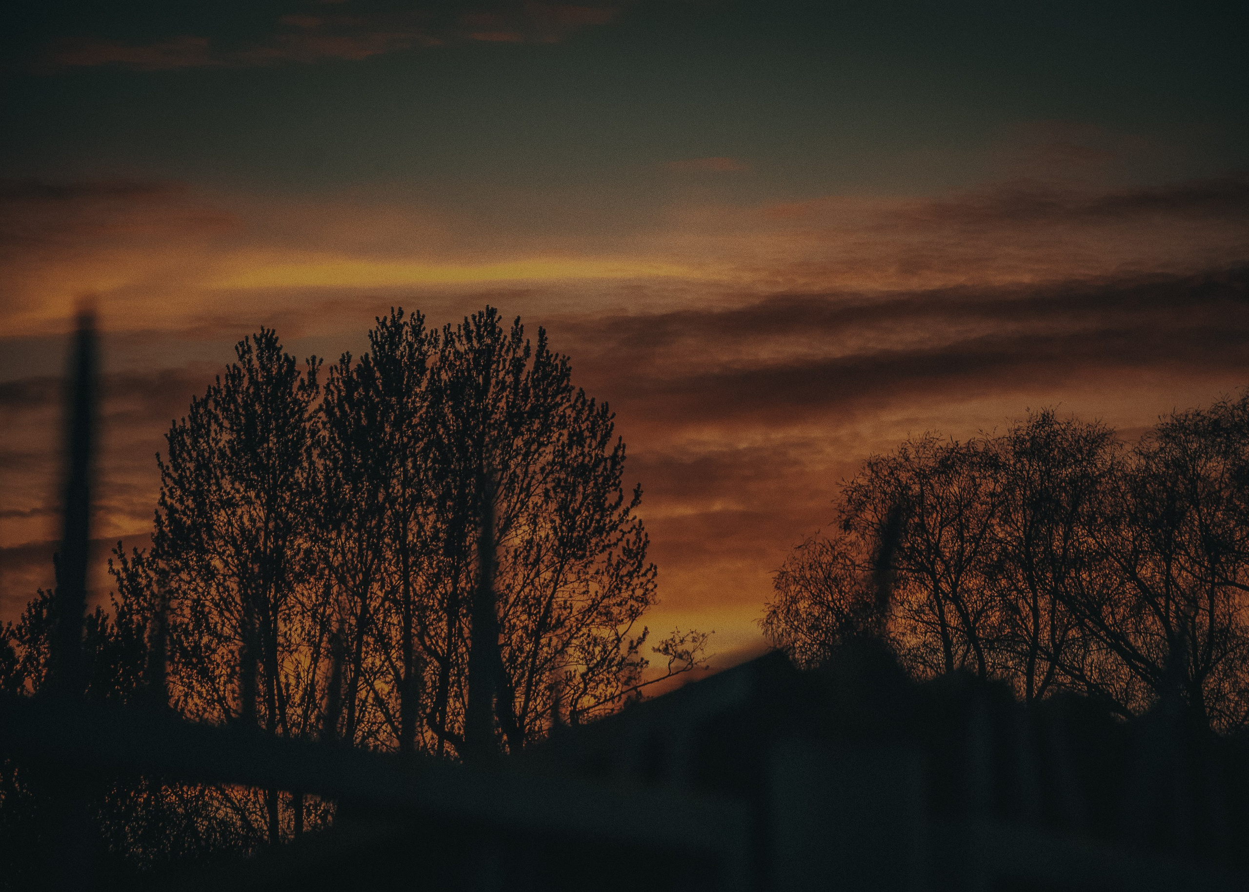 Выборг. Портретный фотограф DanilNabody