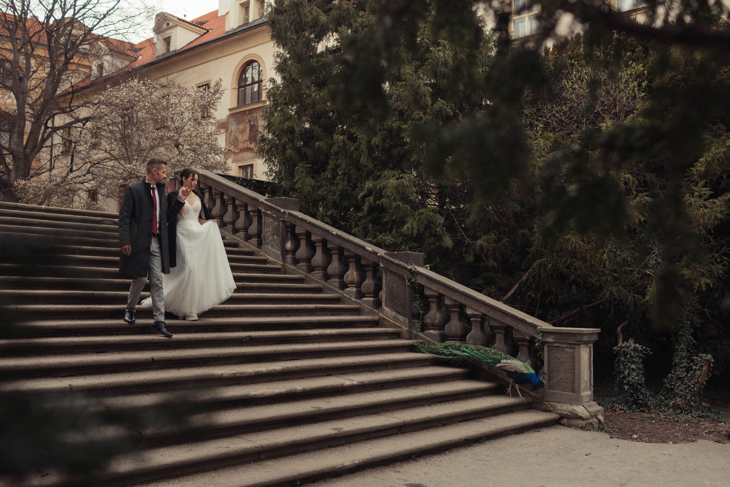 Свадьба 23.03.23. Семейный и свадебный фотограф в Праге Брно Вене Братиславе Евгения Реутова