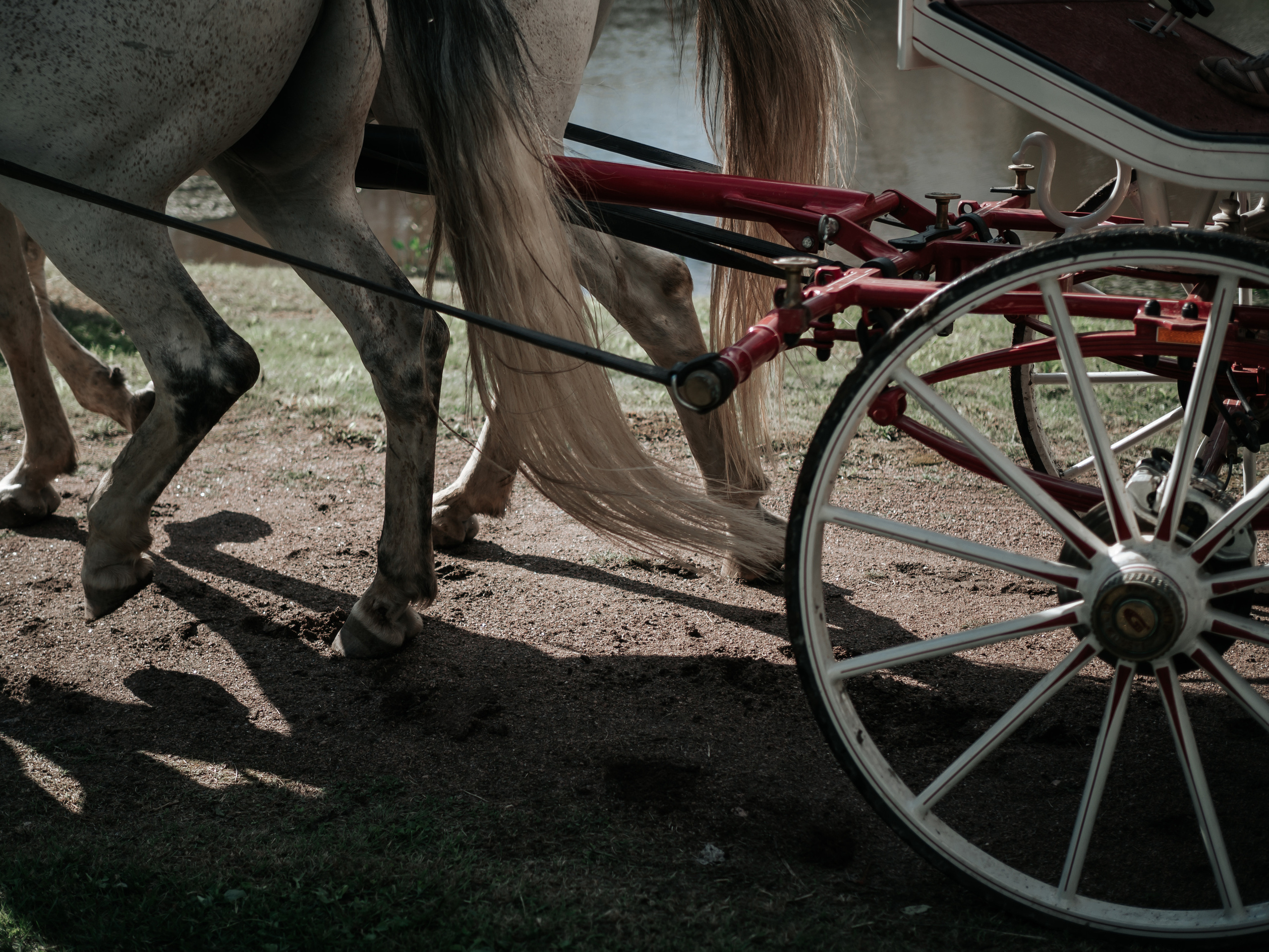 Свадьба. Фотограф и видеограф в Санкт-Петербурге