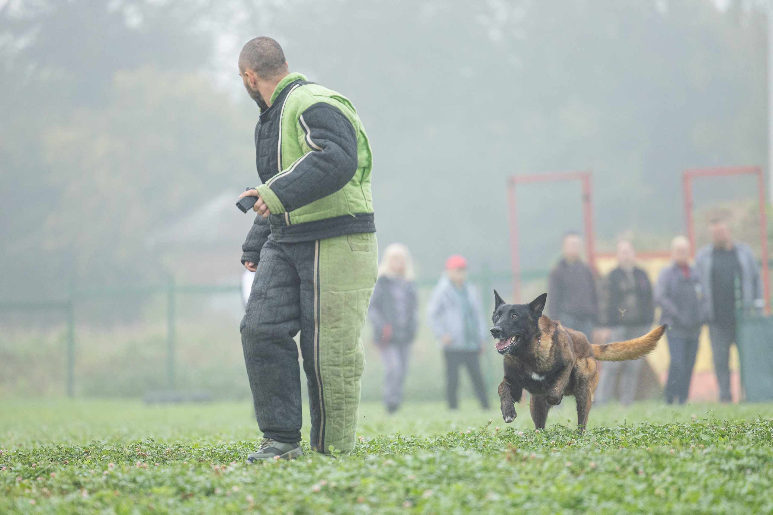 Соревнования по Мондьорингу г. Вологда 10-11.08.2024. Фотограф-анималист Анна Маринич