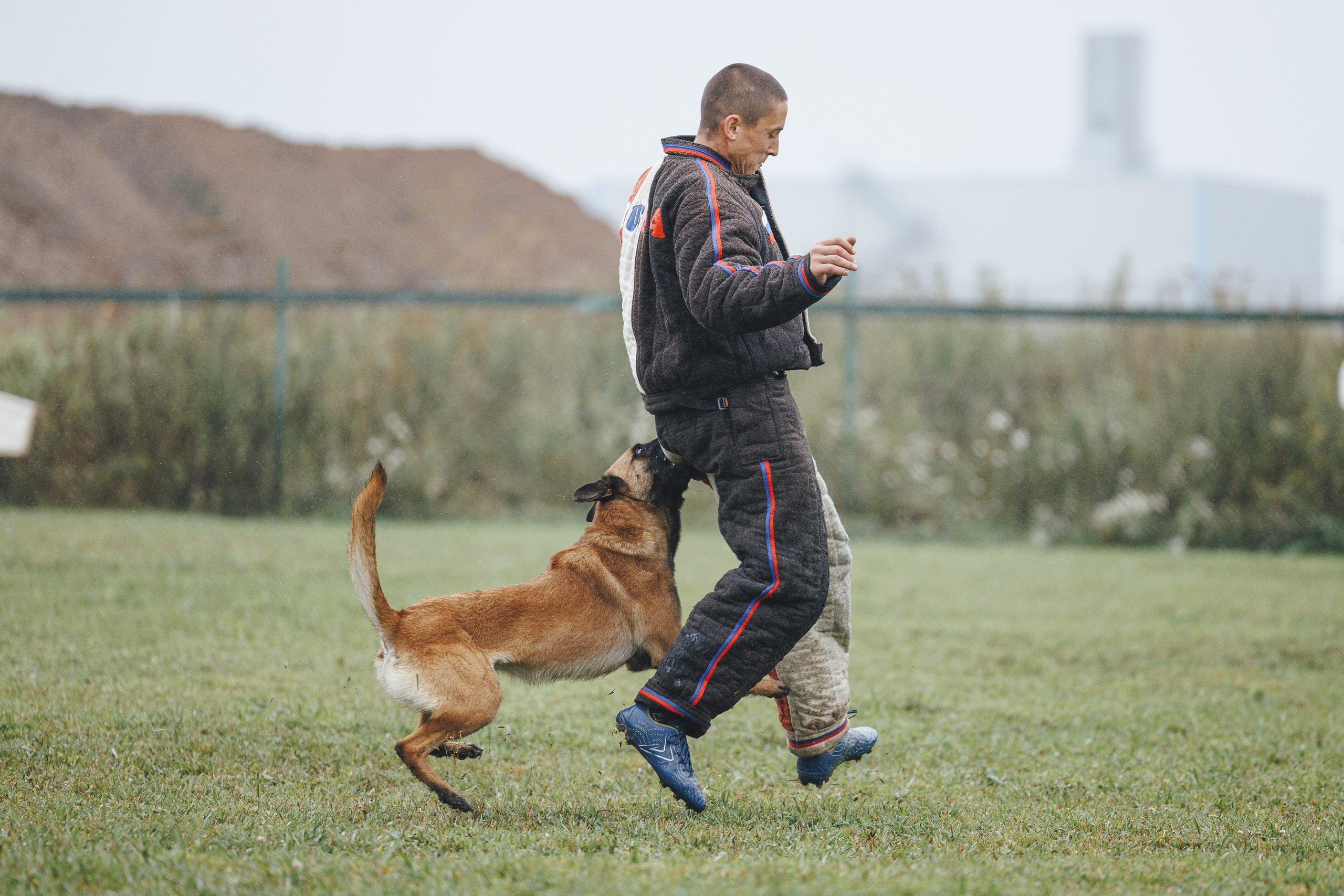 08.08.25-10.08.25 ЧР по мондьорингу г. Вологда. Фотограф-анималист Анна Маринич