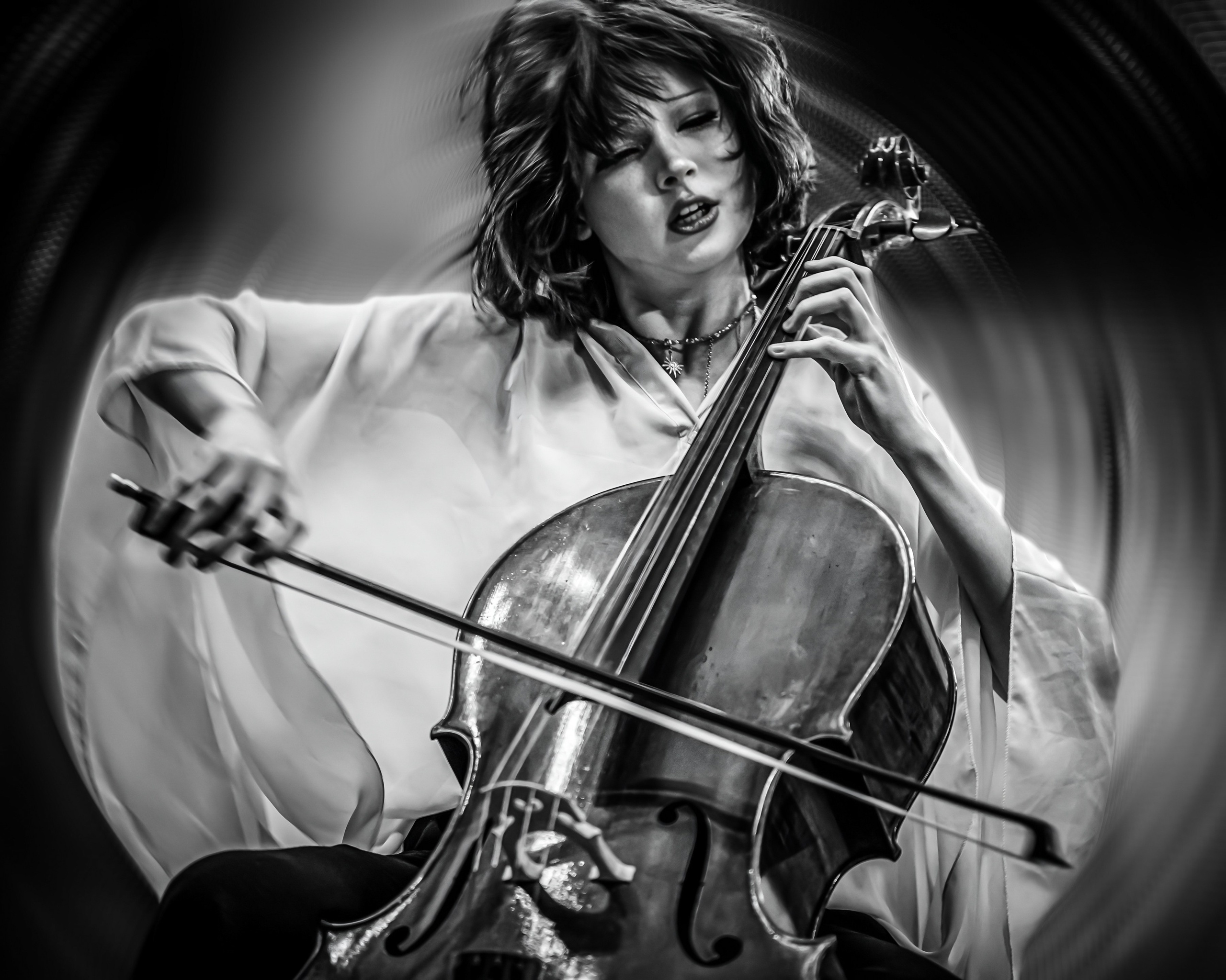 Виолончель. Фотограф в Москве, фотожурналист Александр Малахов