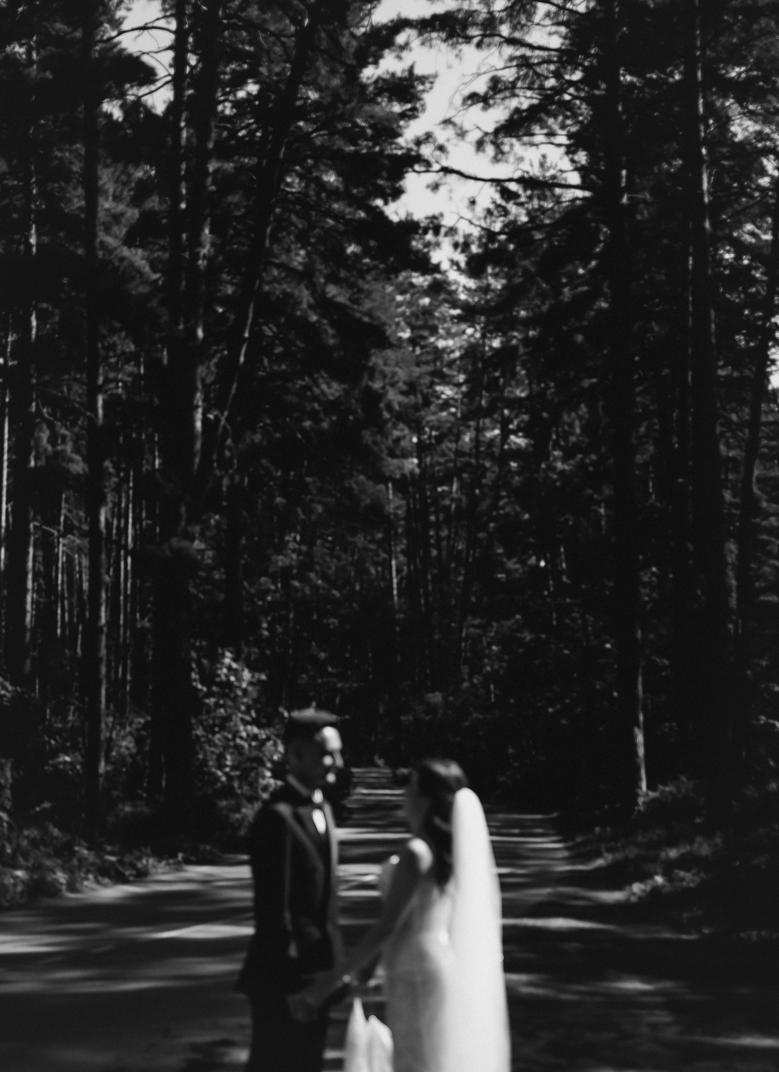 Валерия & Владимир. Фотосъемка и видеосъемка свадеб Липецк