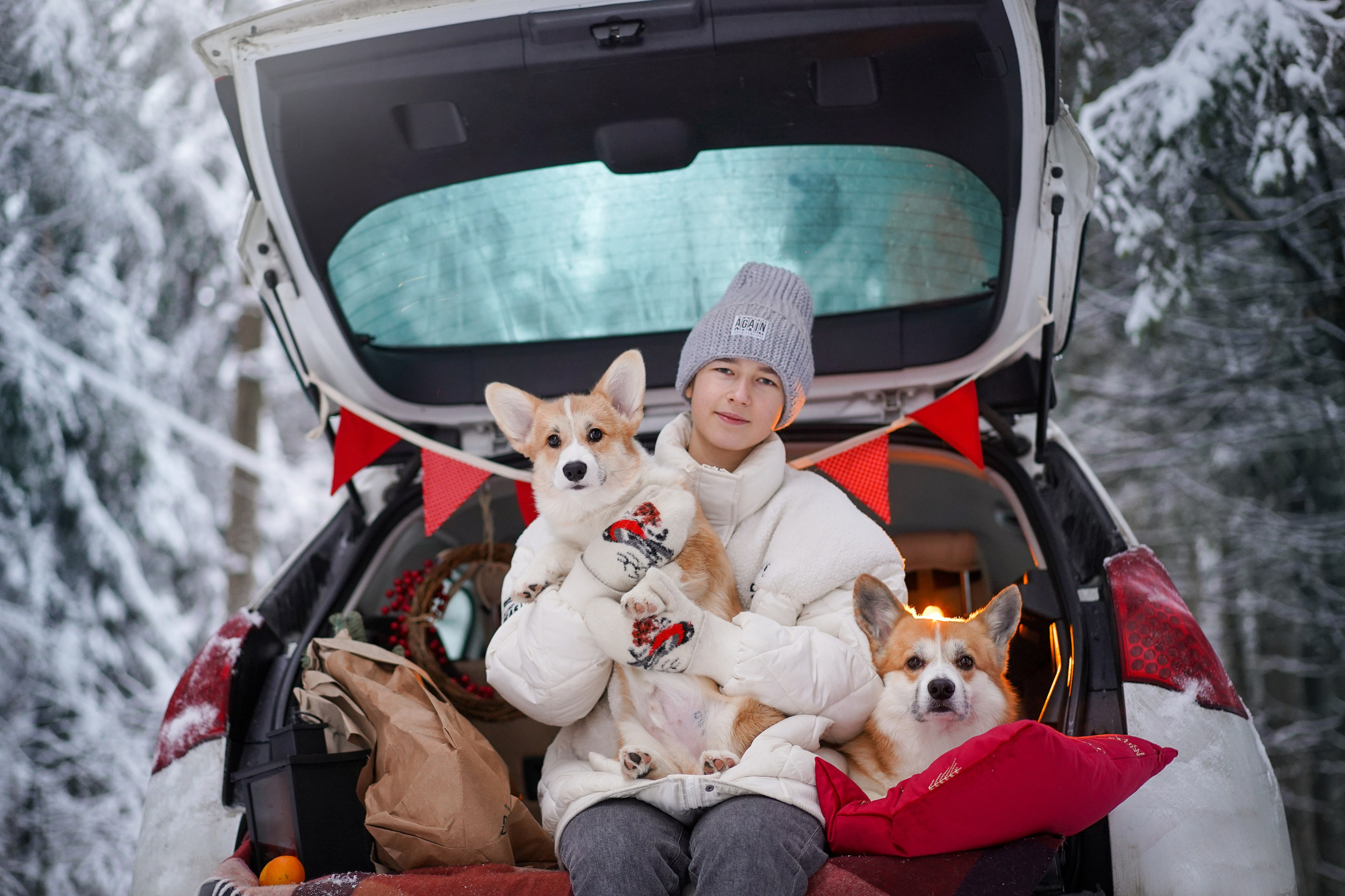 Катя Рокки и Честер. Фотограф-анималист в Санкт-Петербурге Яна Мартынова