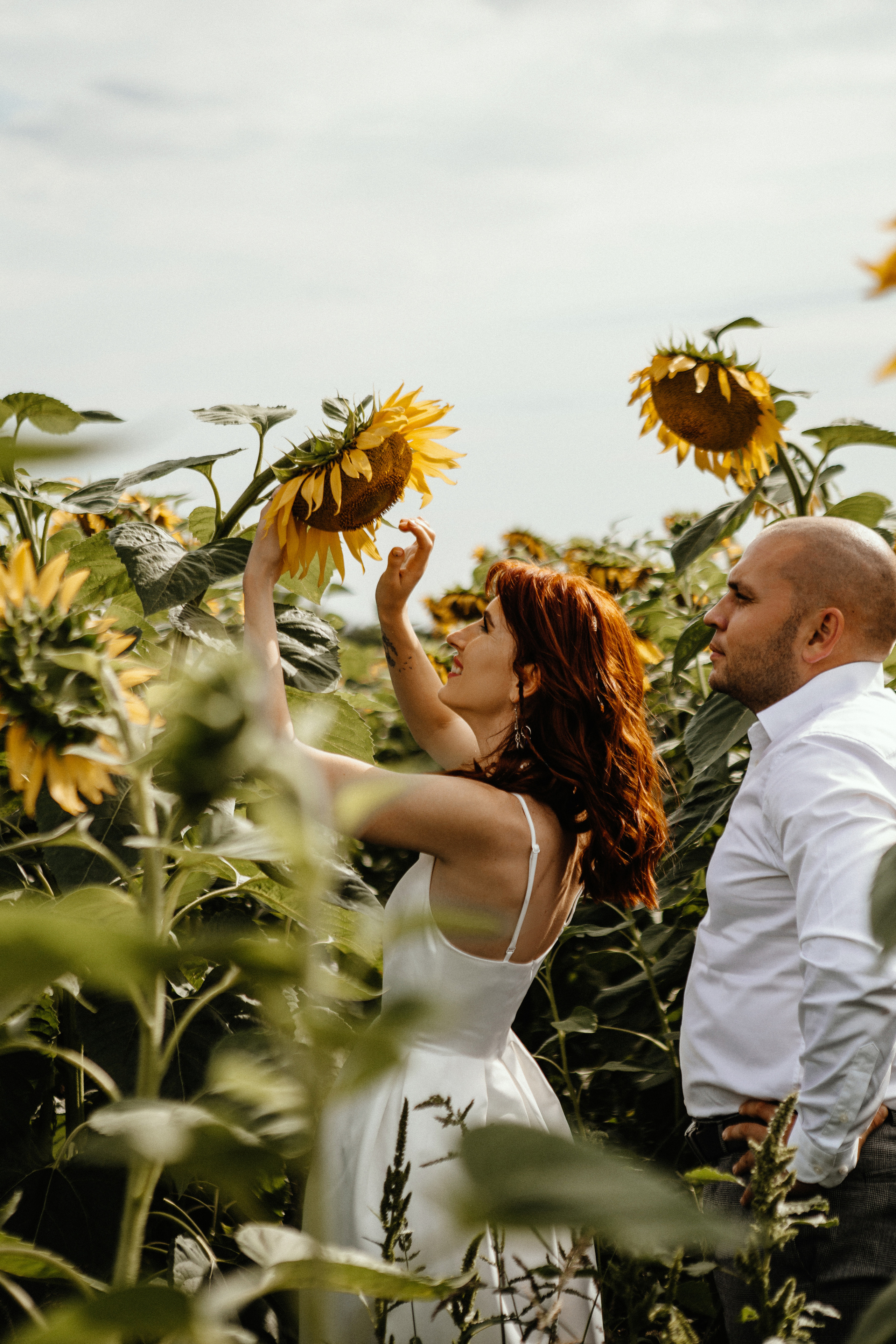 Солнце в подсолнухах. Фотограф в Тамбове Ольга Мельникова