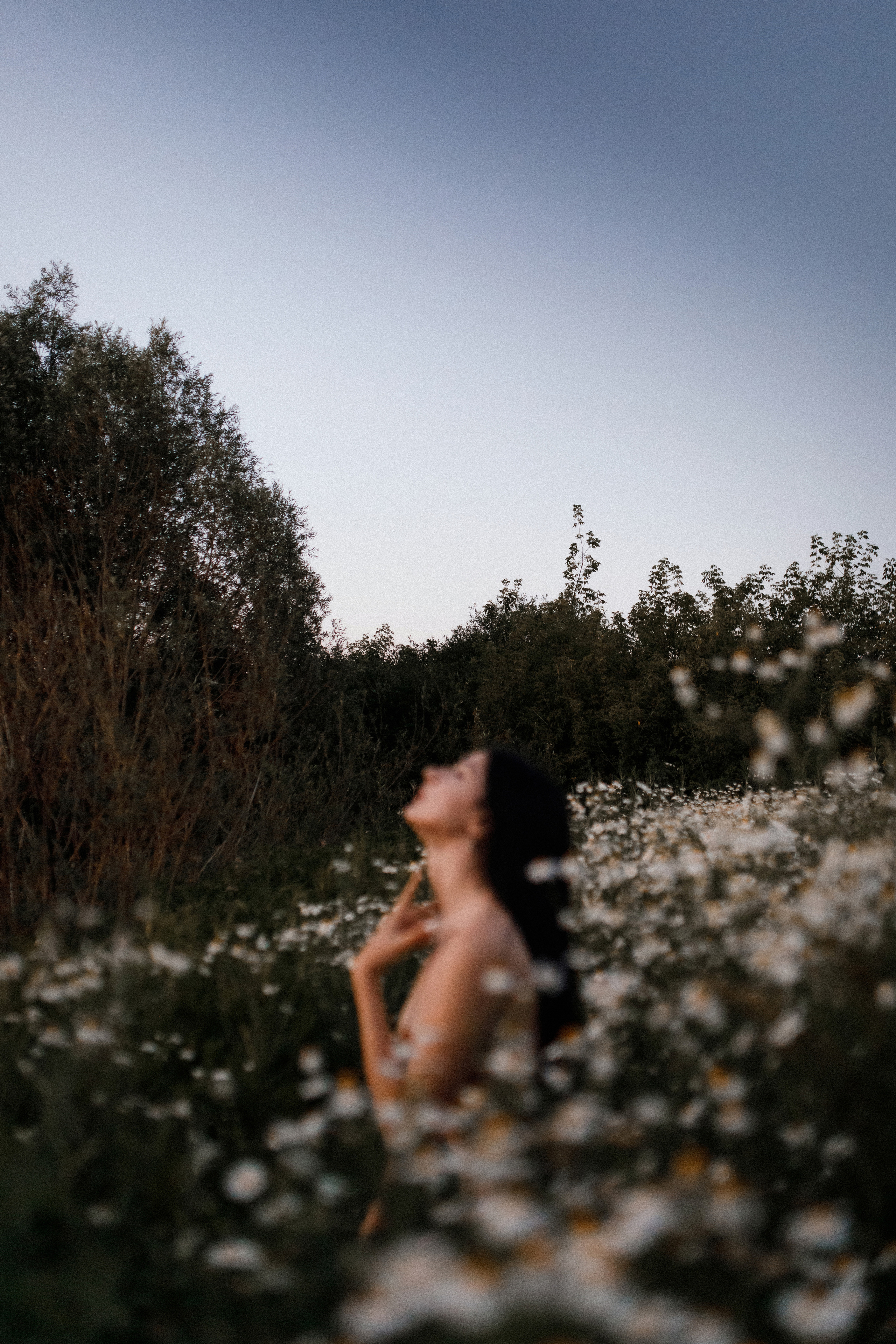 Ромашковое поле. Фотограф в Тамбове Ольга Мельникова