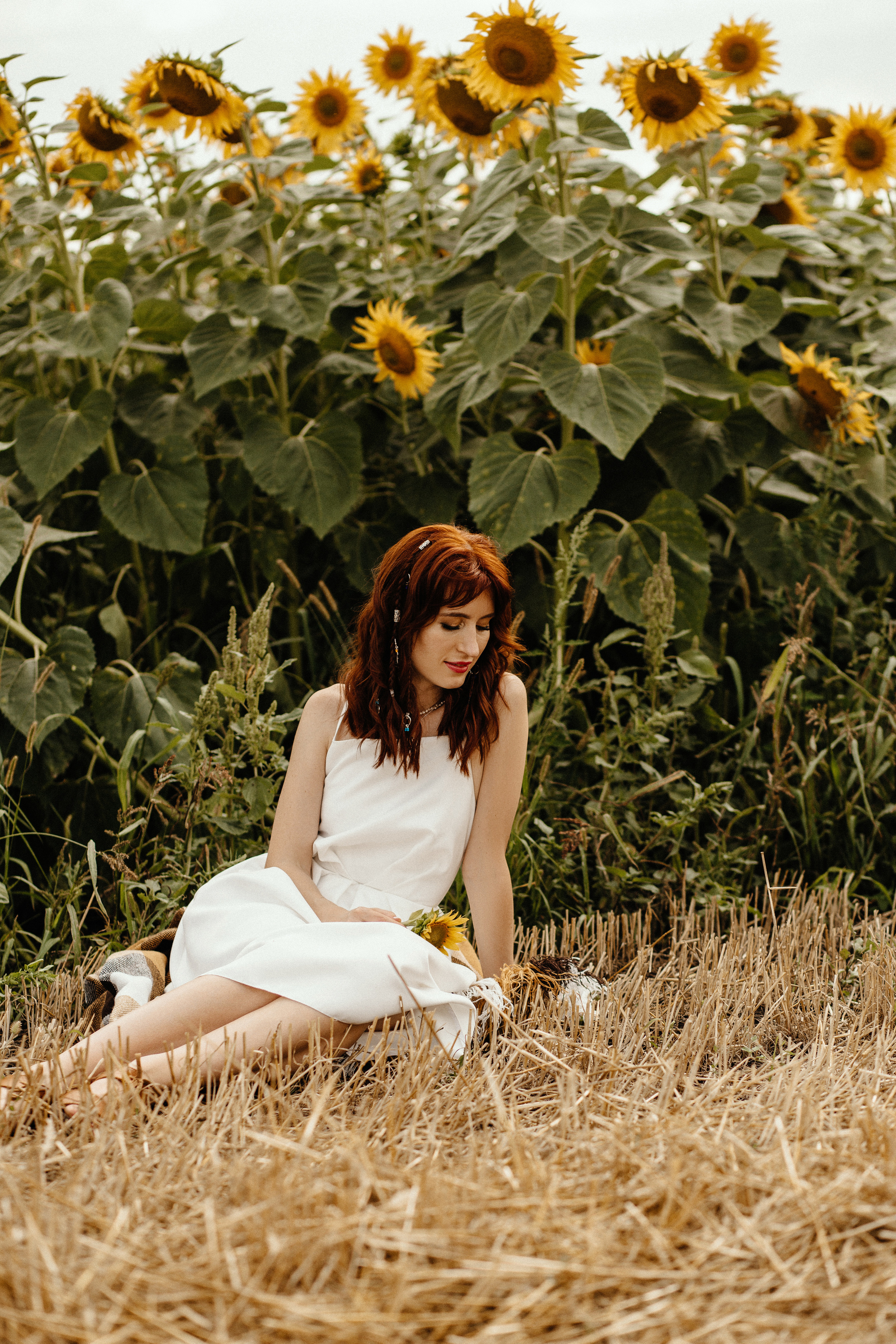 Солнце в подсолнухах. Фотограф в Тамбове Ольга Мельникова