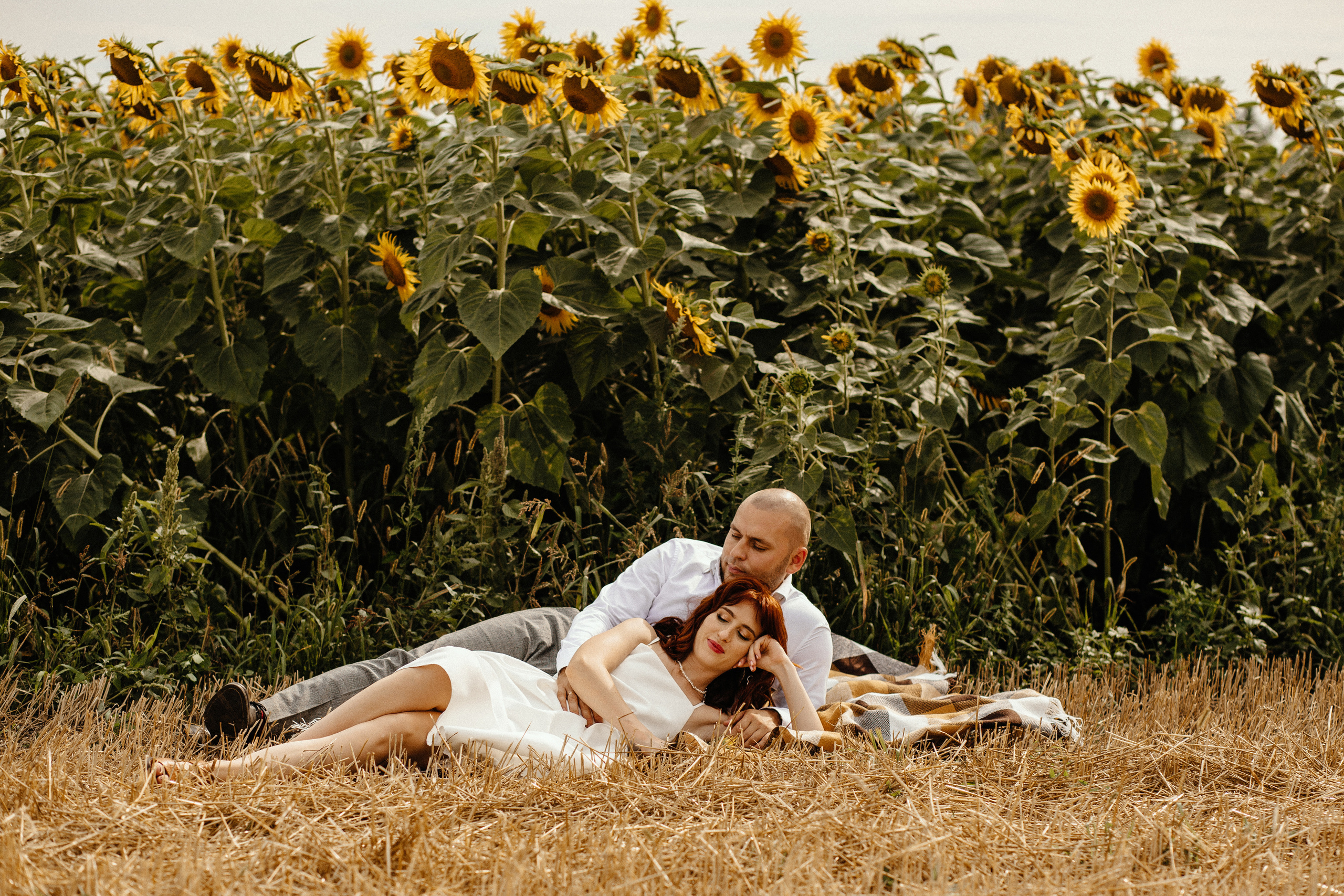 Солнце в подсолнухах. Фотограф в Тамбове Ольга Мельникова