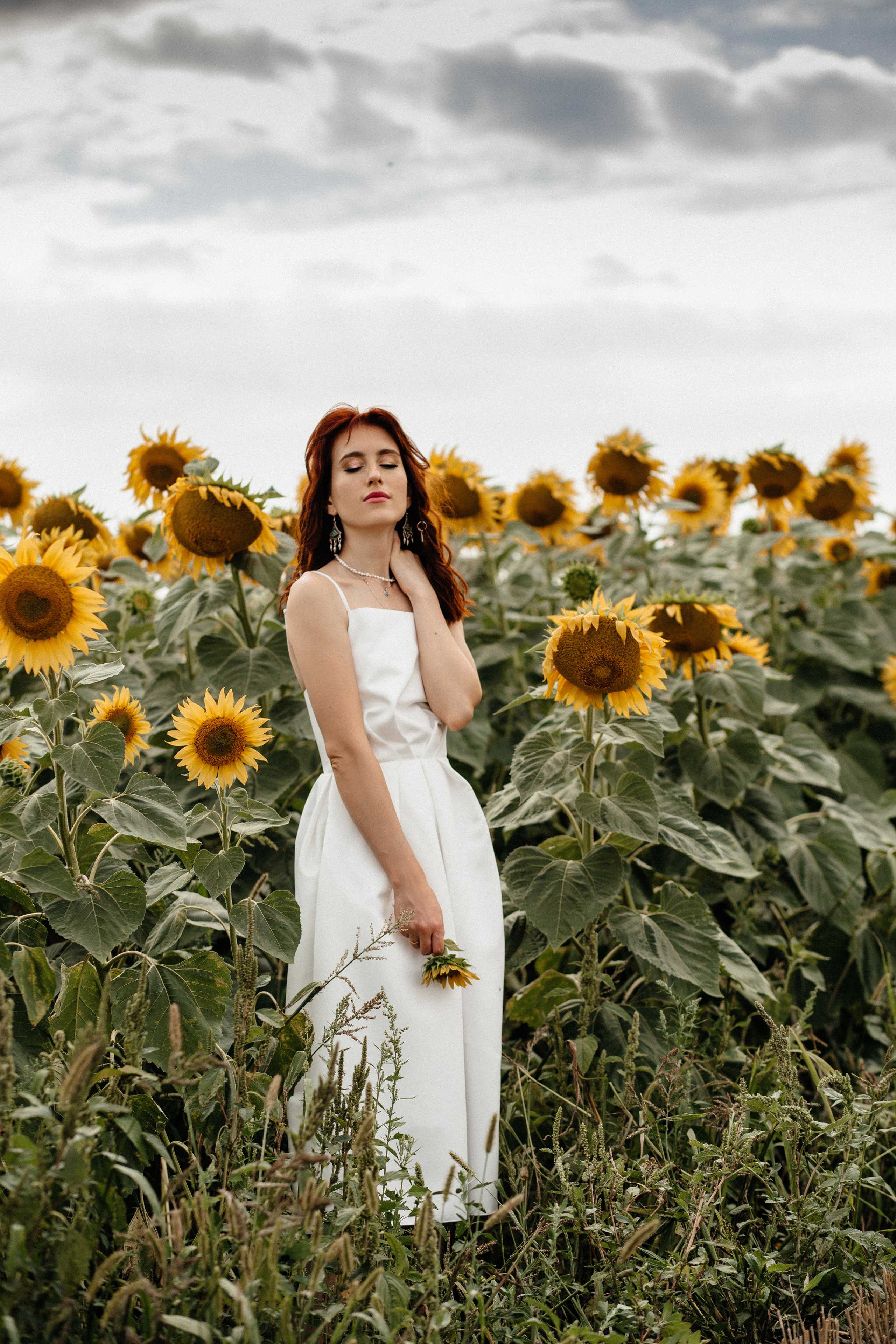 Солнце в подсолнухах. Фотограф в Тамбове Ольга Мельникова