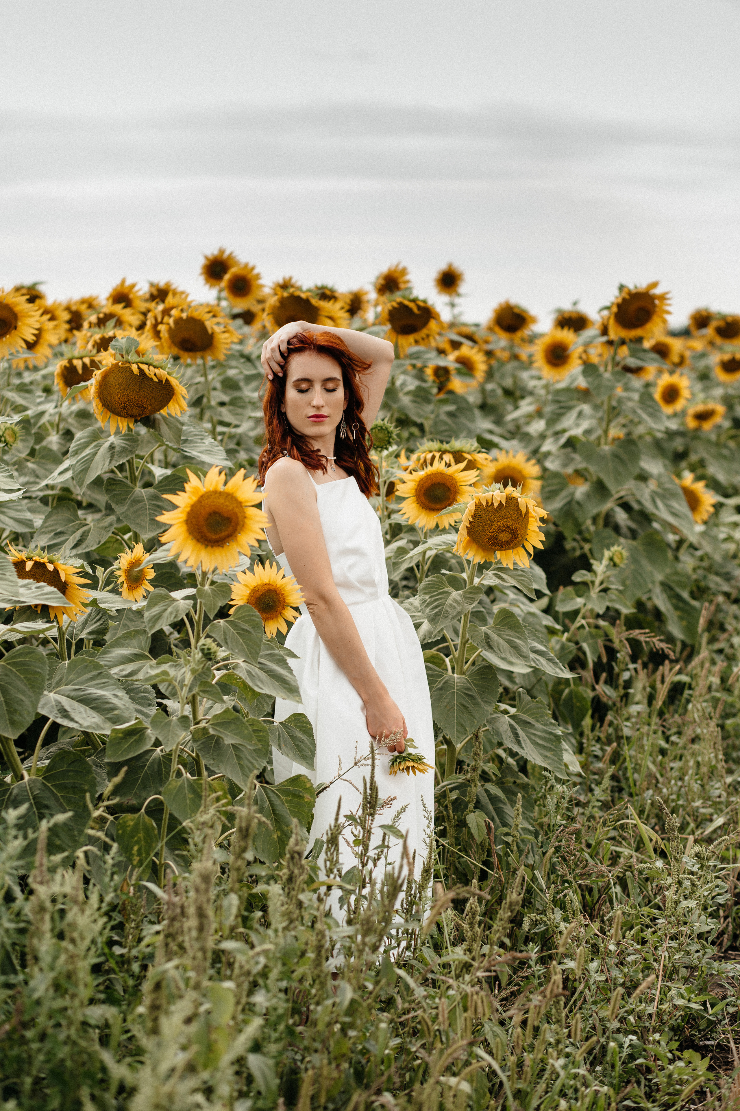 Солнце в подсолнухах. Фотограф в Тамбове Ольга Мельникова