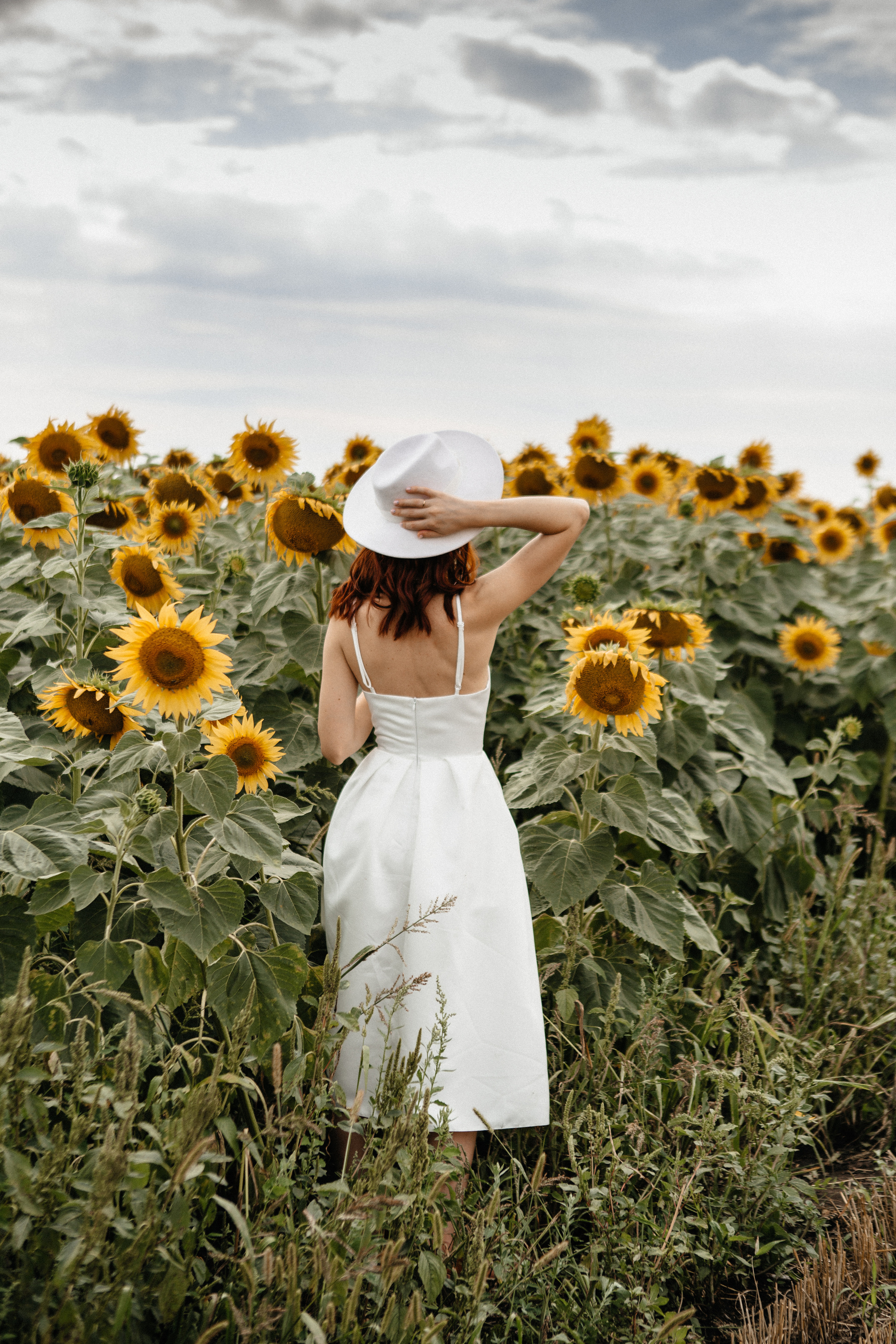 Солнце в подсолнухах. Фотограф в Тамбове Ольга Мельникова