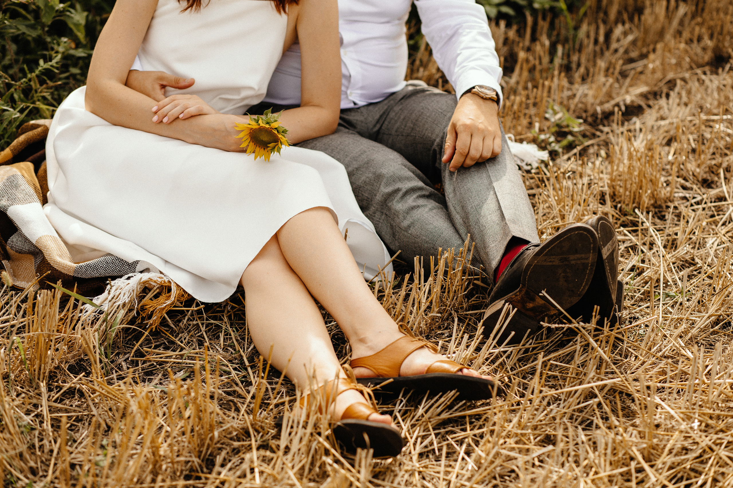 Солнце в подсолнухах. Фотограф в Тамбове Ольга Мельникова