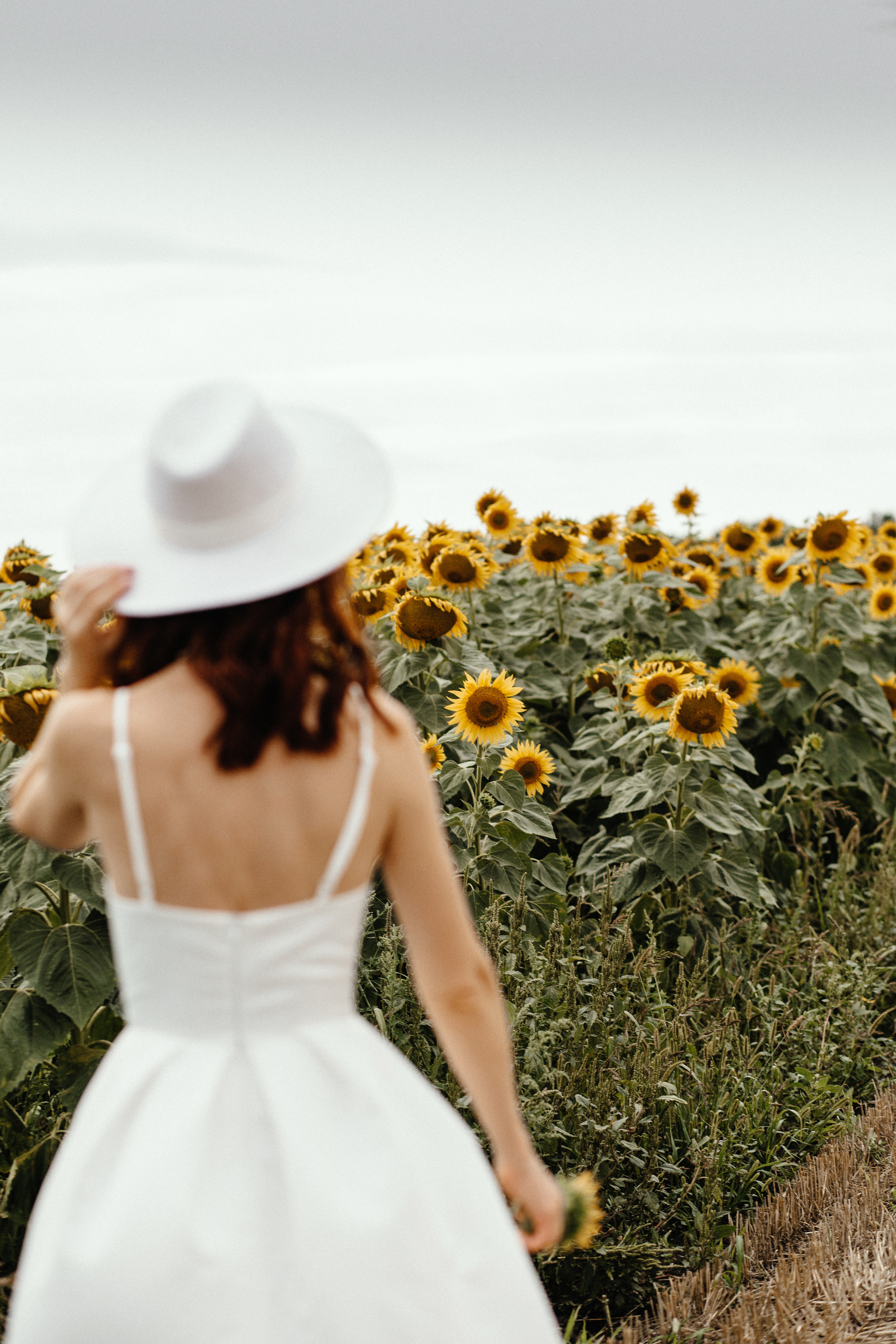 Солнце в подсолнухах. Фотограф в Тамбове Ольга Мельникова