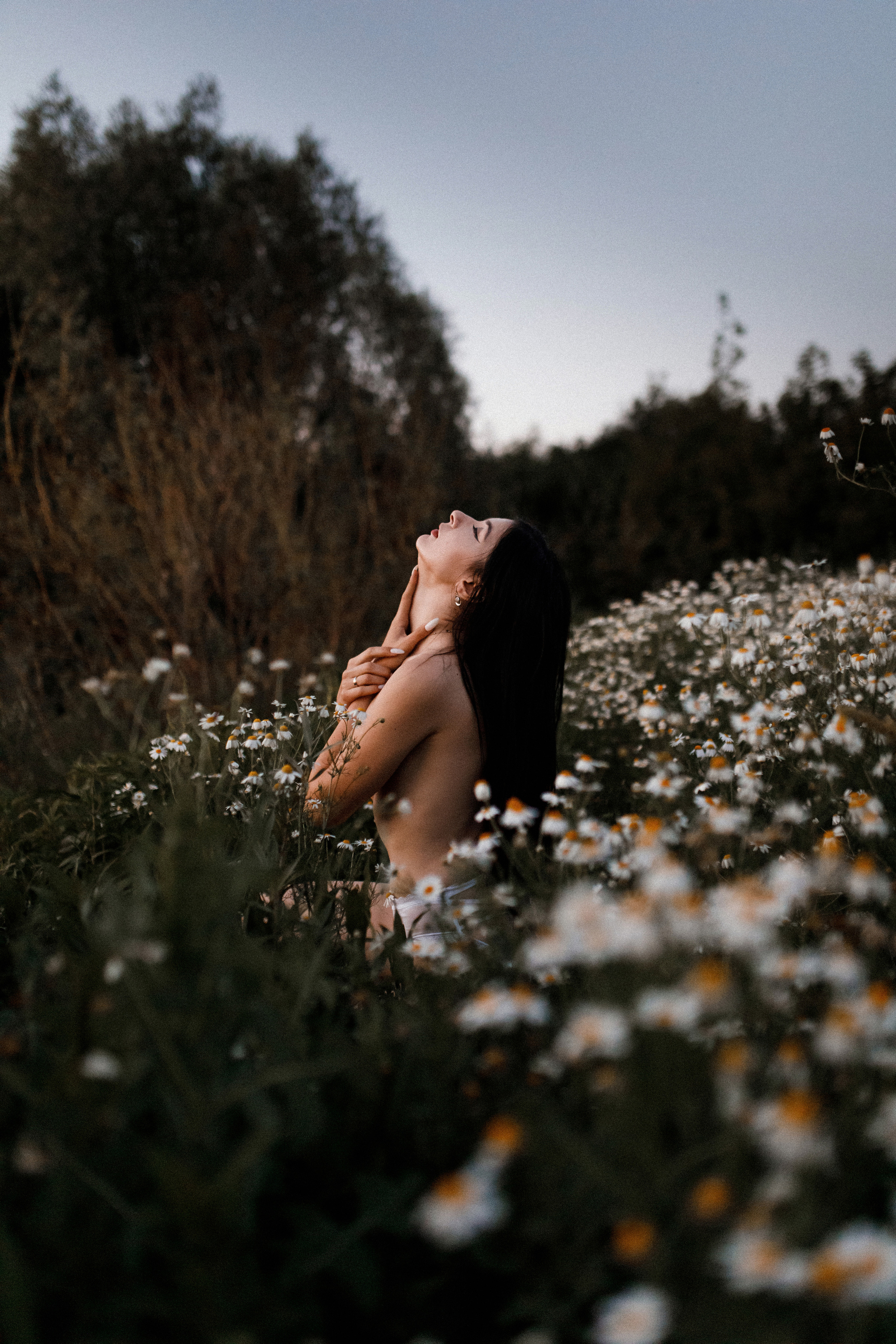 Ромашковое поле. Фотограф в Тамбове Ольга Мельникова