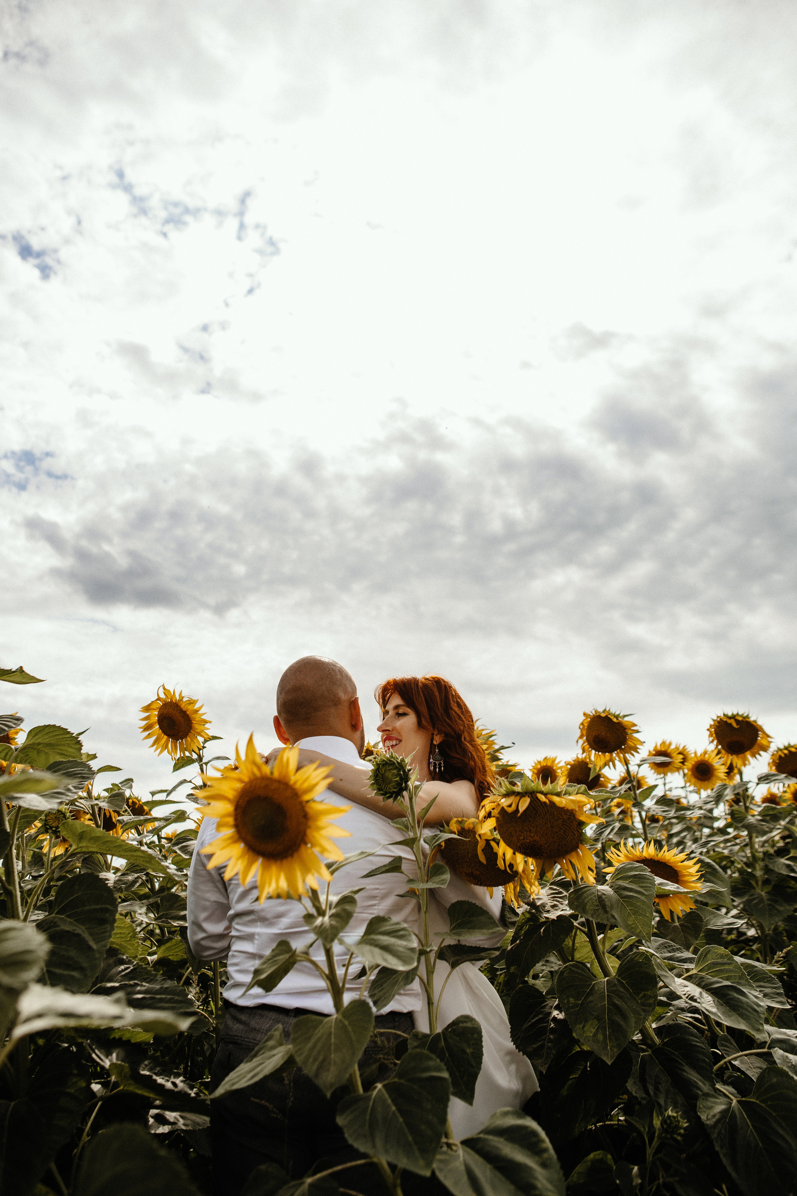Солнце в подсолнухах. Фотограф в Тамбове Ольга Мельникова