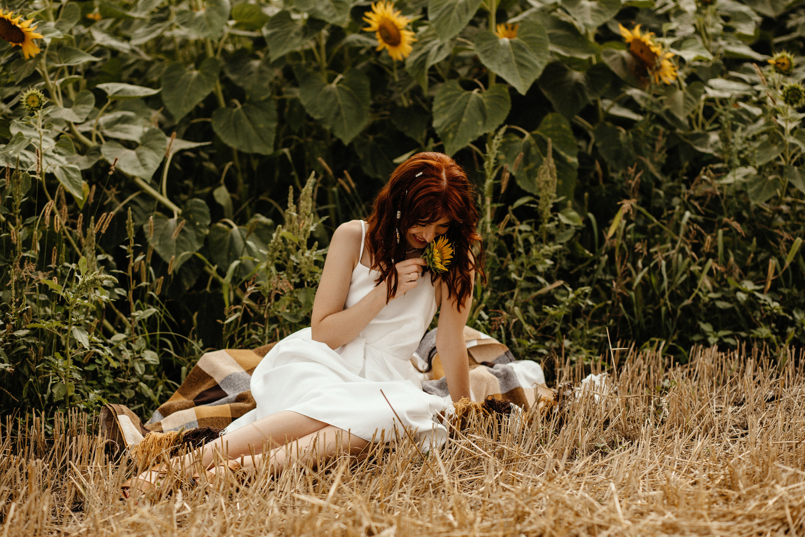 Солнце в подсолнухах. Фотограф в Тамбове Ольга Мельникова