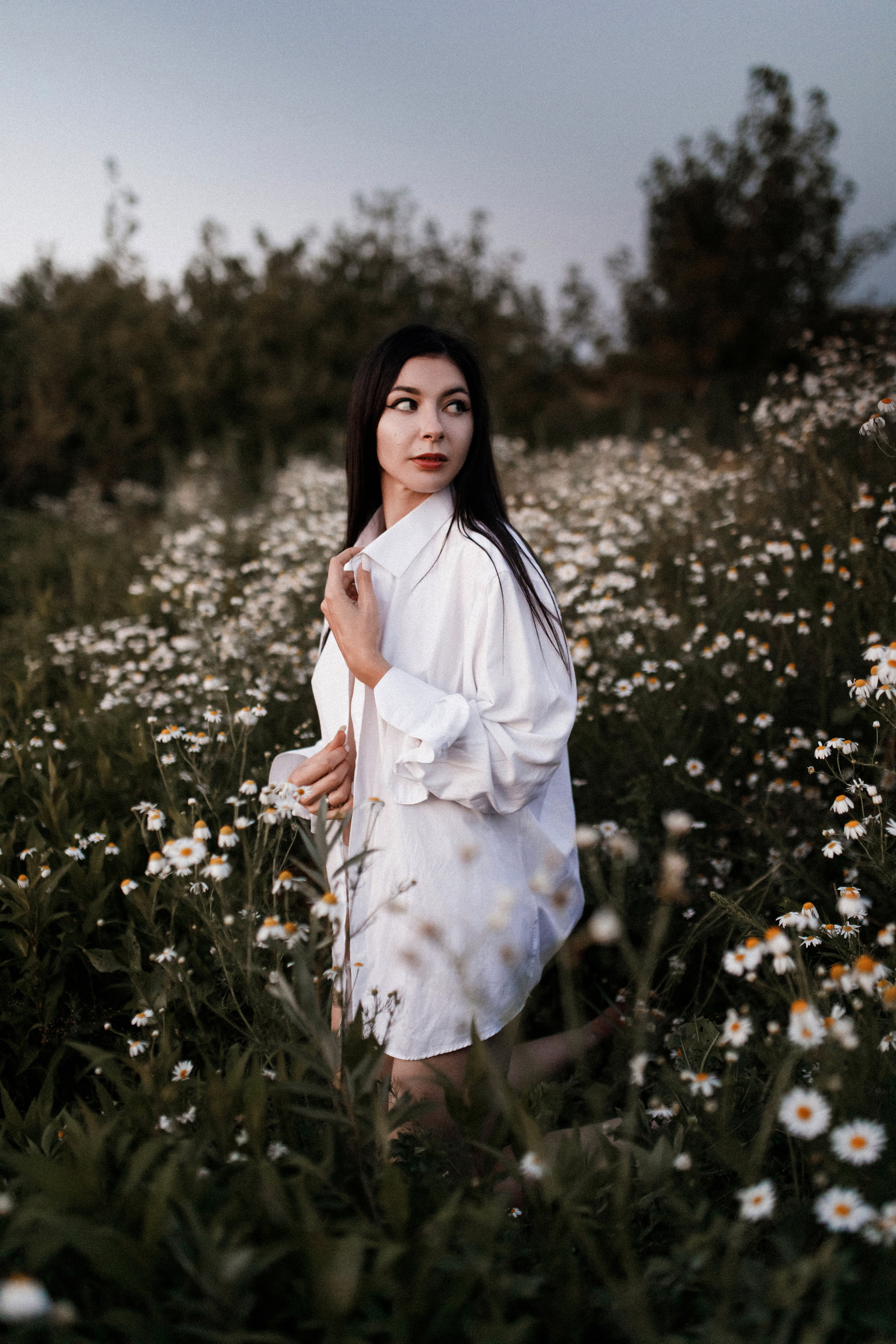 Ромашковое поле. Фотограф в Тамбове Ольга Мельникова