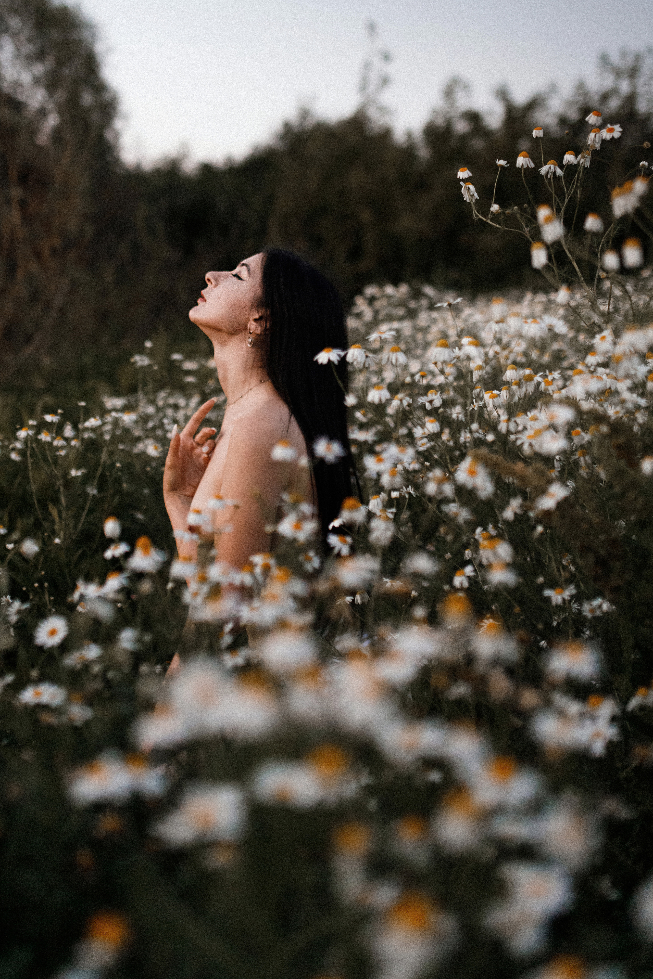 Ромашковое поле. Фотограф в Тамбове Ольга Мельникова