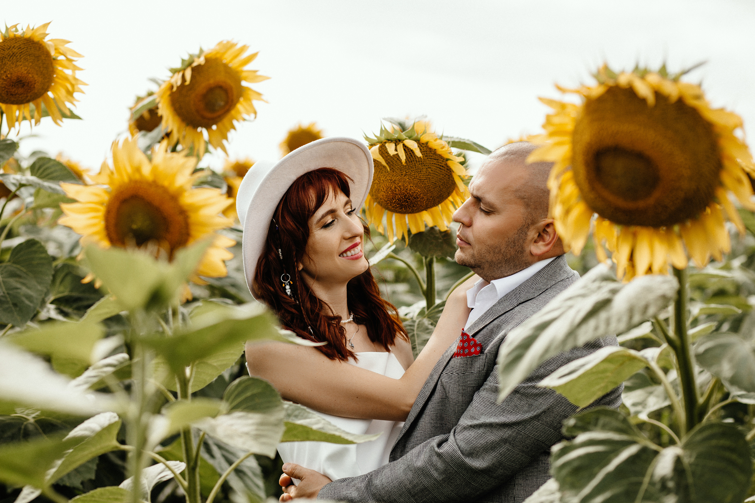 Солнце в подсолнухах. Фотограф в Тамбове Ольга Мельникова