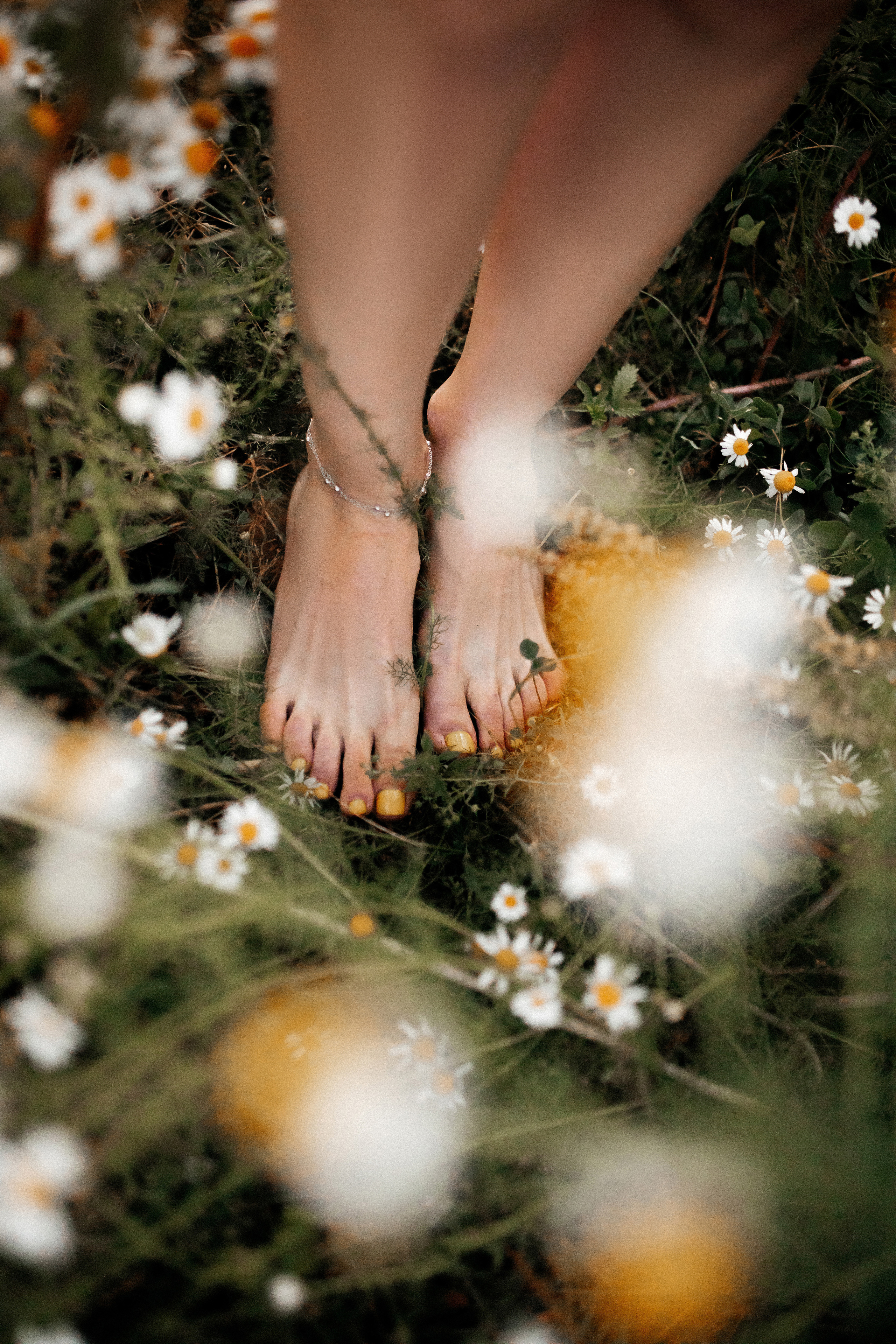 Ромашковое поле. Фотограф в Тамбове Ольга Мельникова