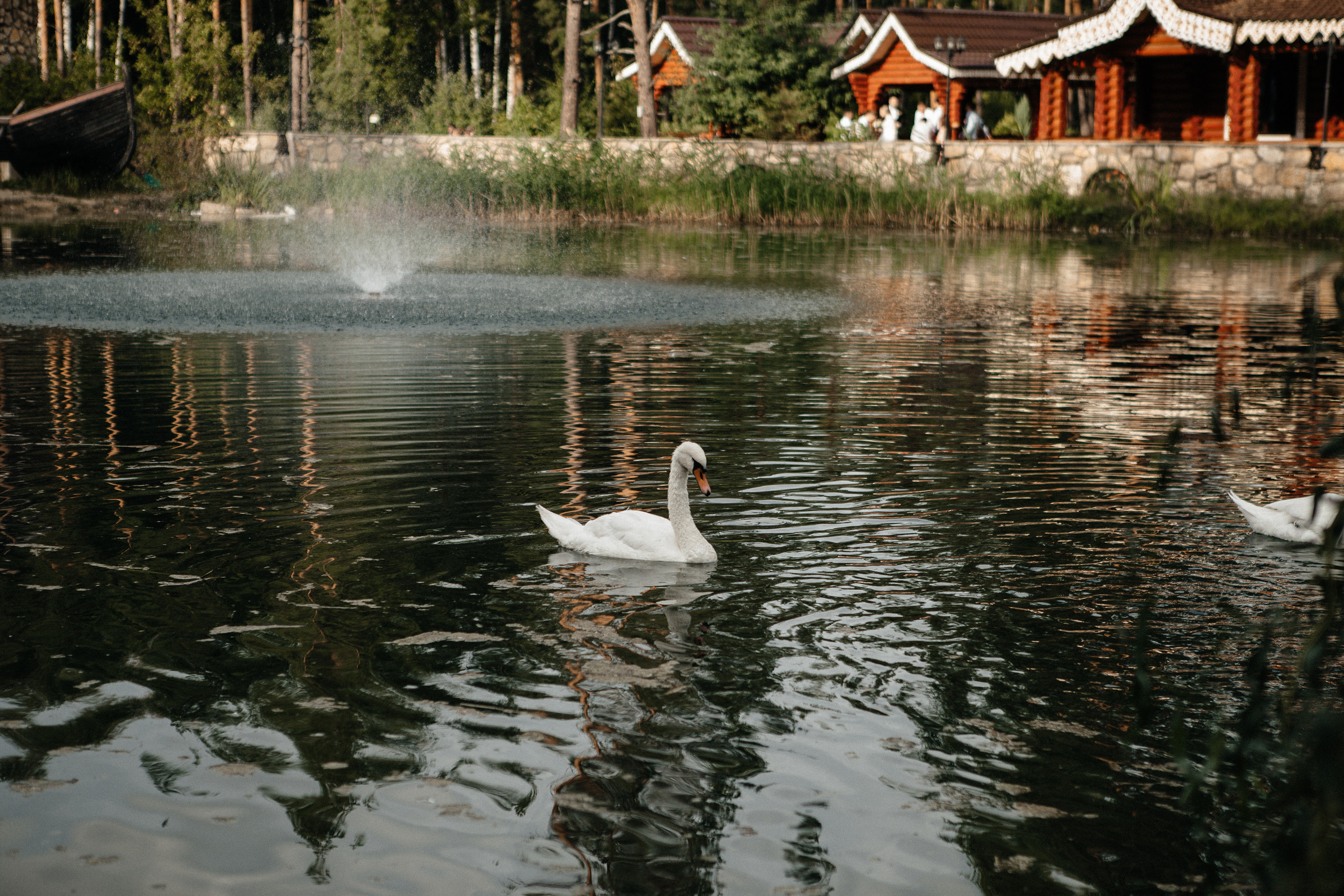 «Лесная сказка». Фотограф в Тамбове Ольга Мельникова