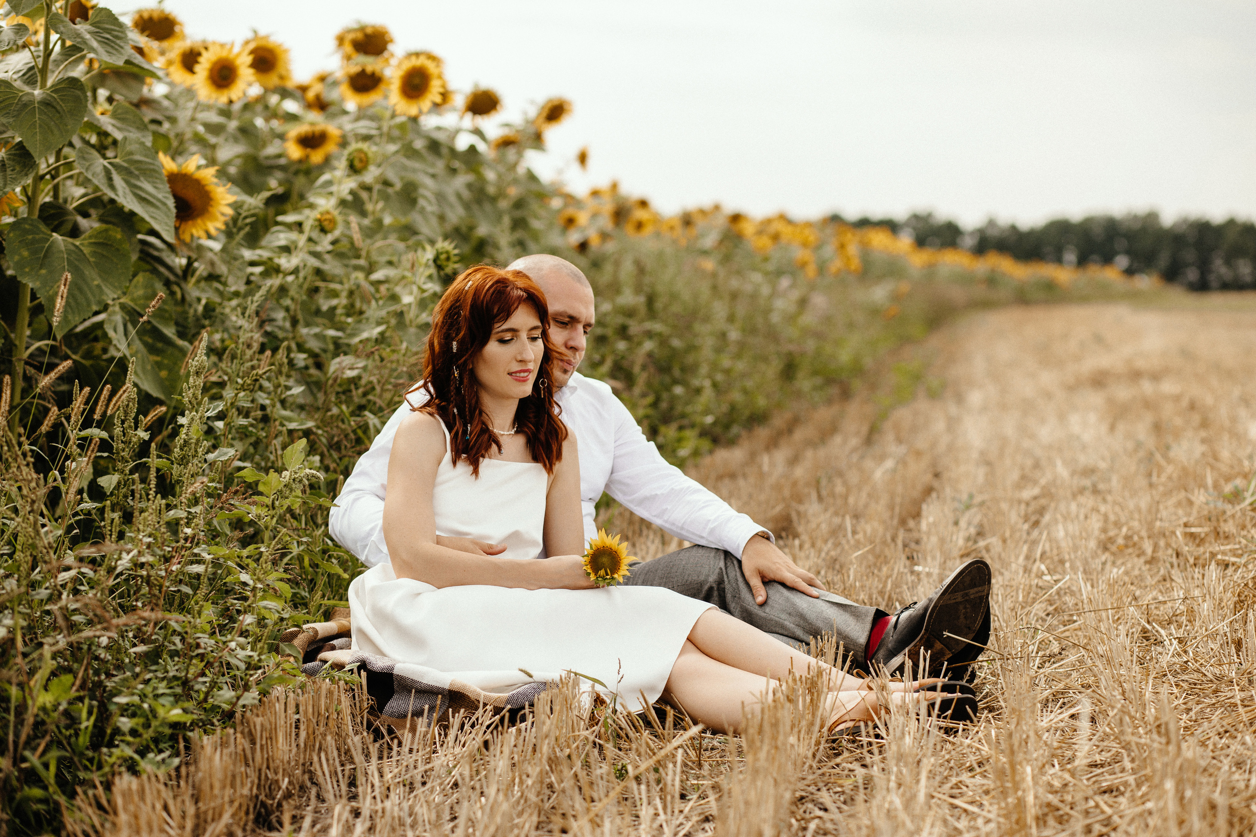 Солнце в подсолнухах. Фотограф в Тамбове Ольга Мельникова