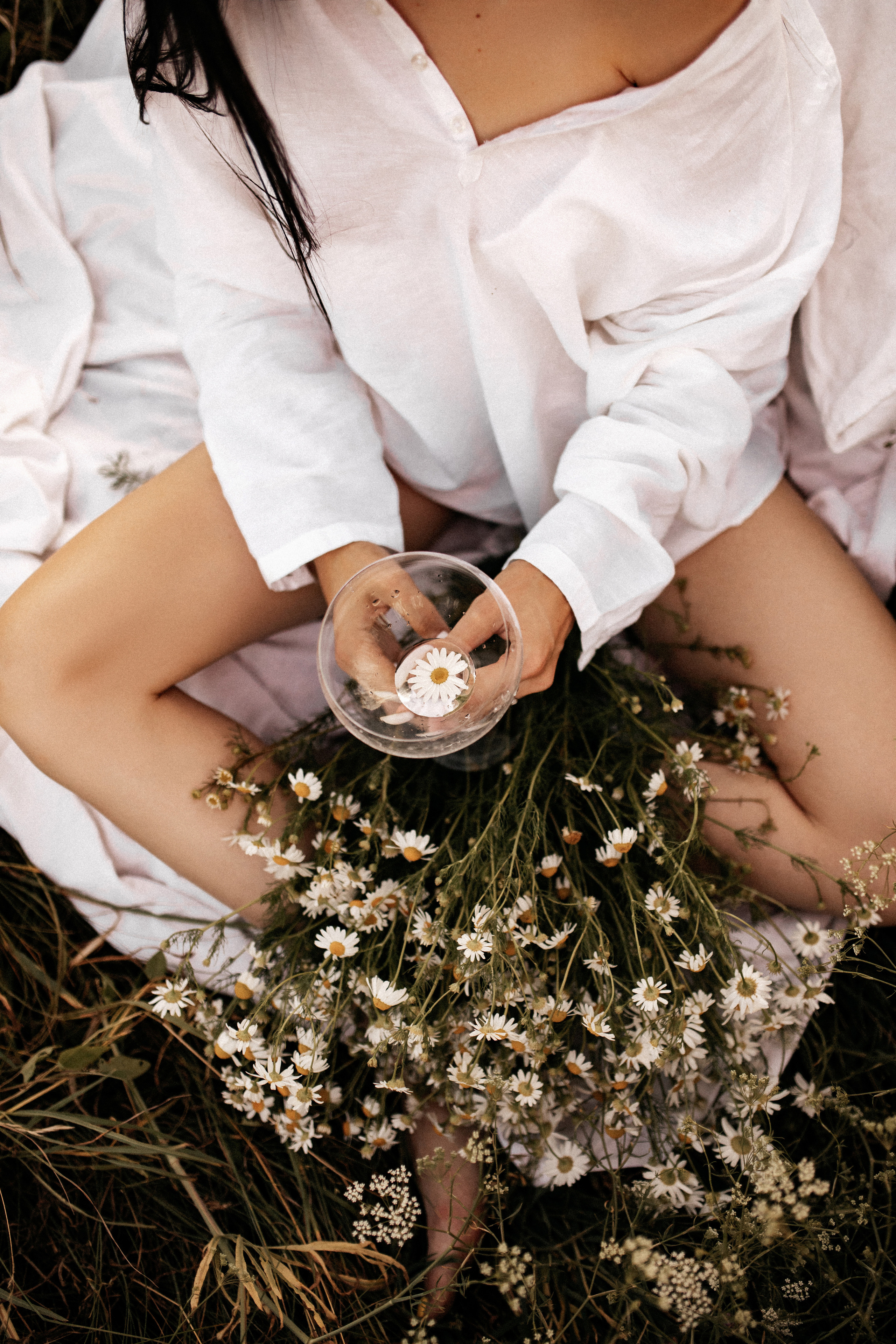 Ромашковое поле. Фотограф в Тамбове Ольга Мельникова