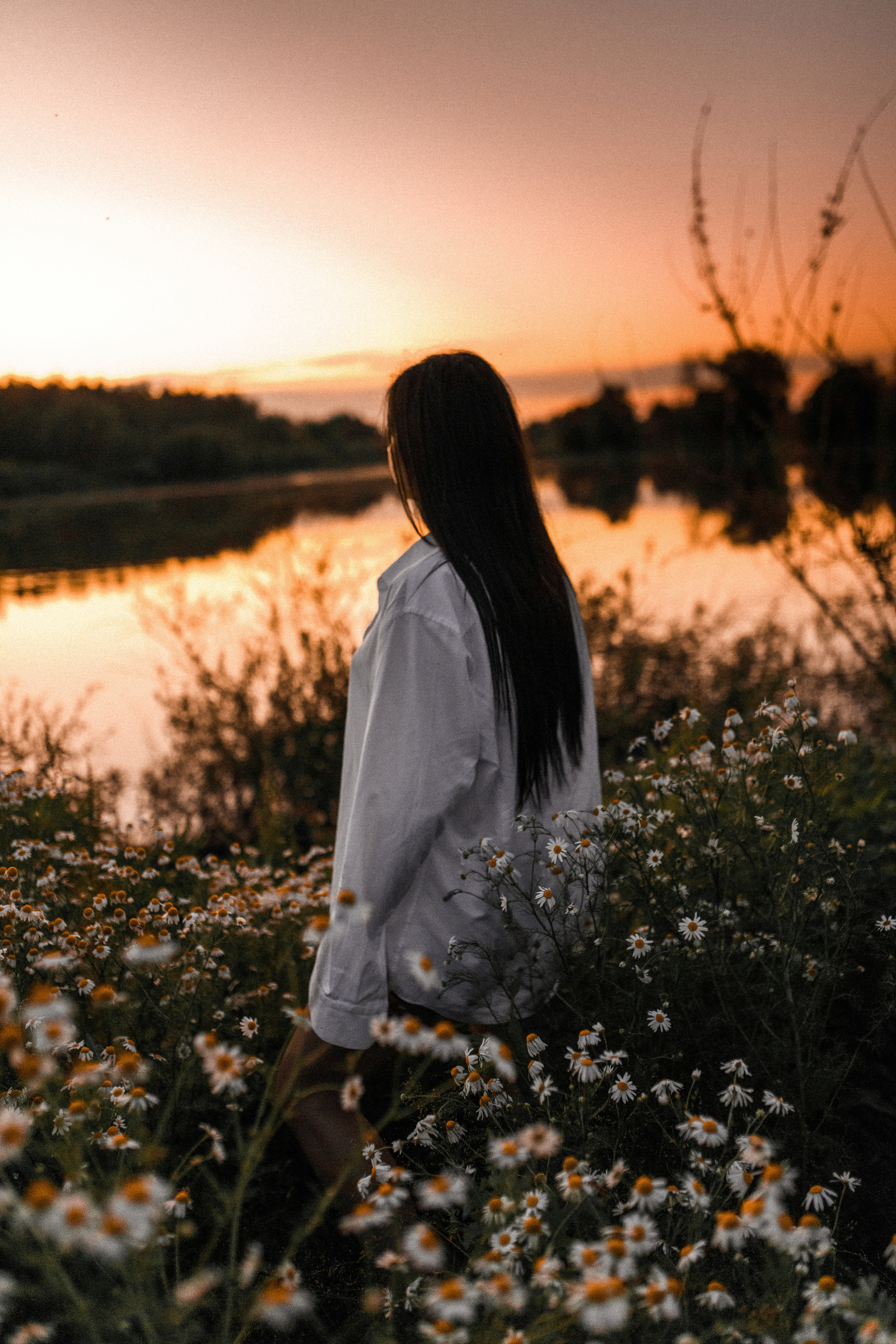 Ромашковое поле. Фотограф в Тамбове Ольга Мельникова