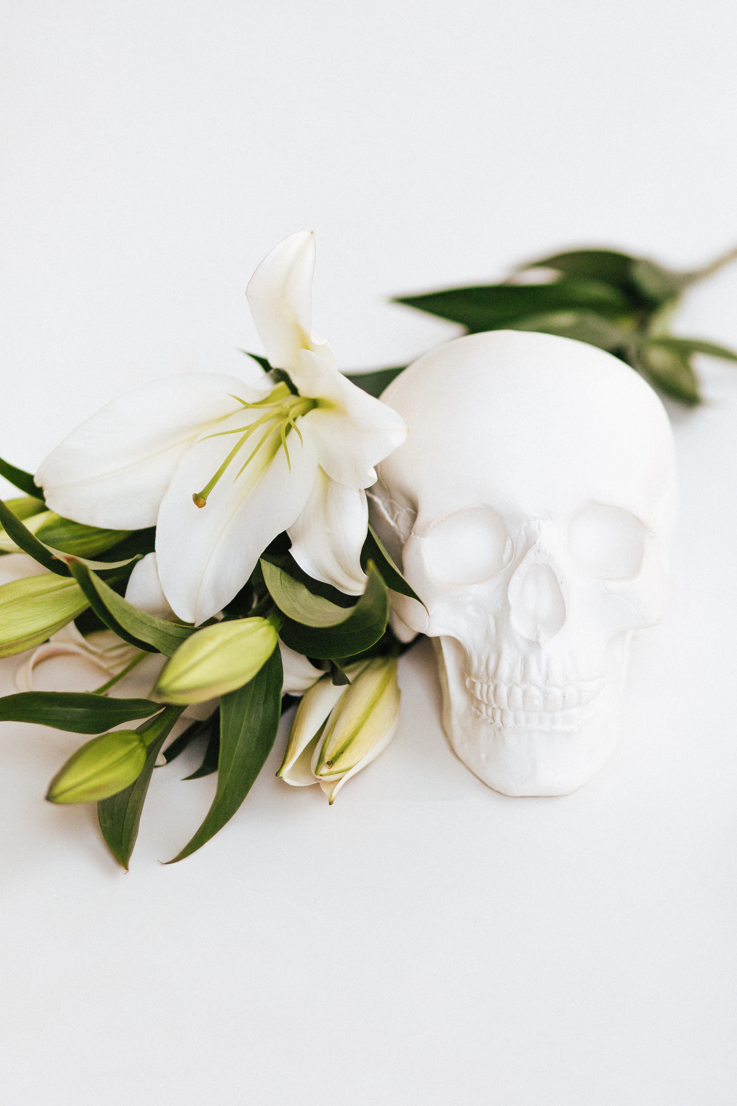 Для косметолога. Фотограф в Тамбове Ольга Мельникова