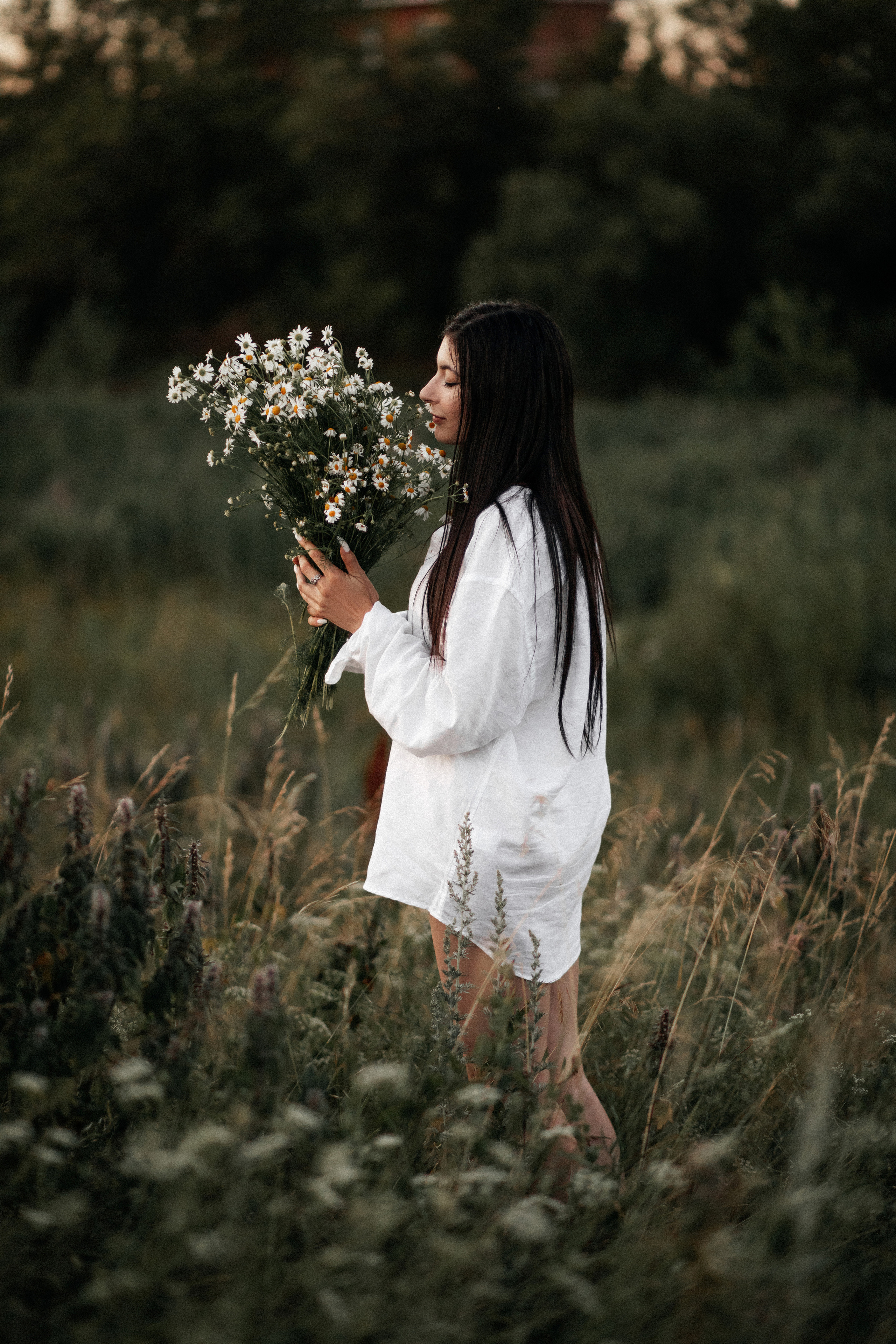 Ромашковое поле. Фотограф в Тамбове Ольга Мельникова