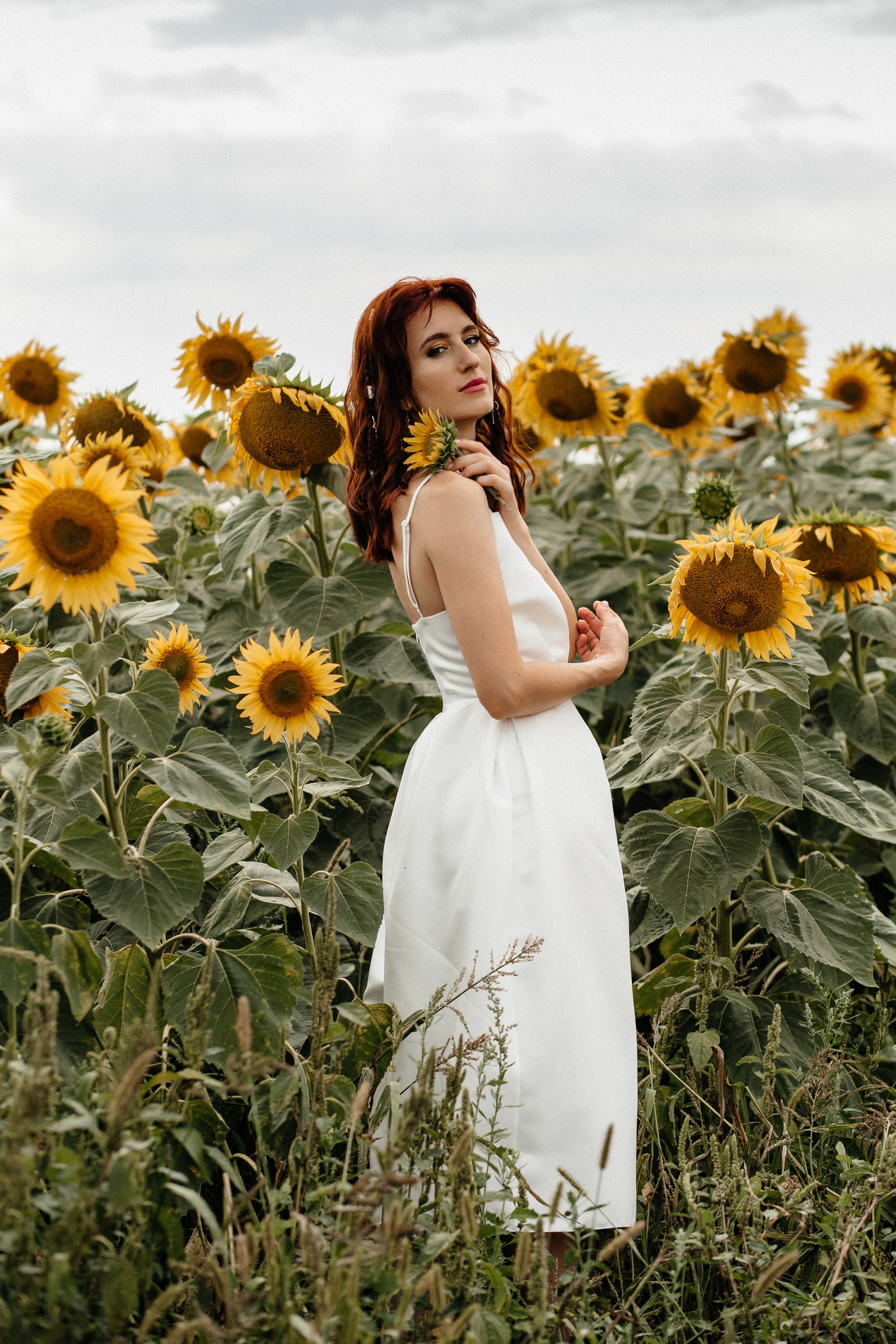 Солнце в подсолнухах. Фотограф в Тамбове Ольга Мельникова