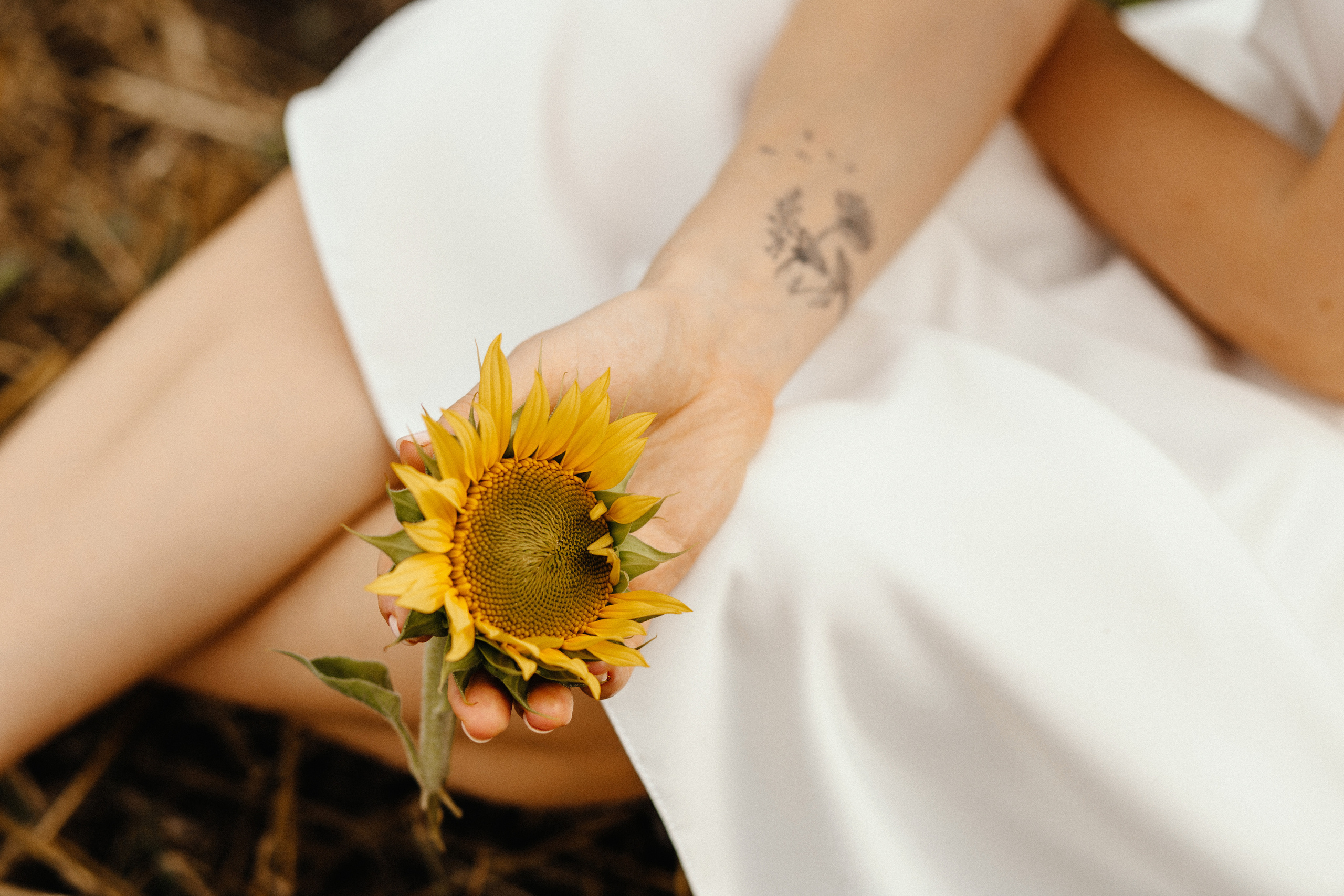 Солнце в подсолнухах. Фотограф в Тамбове Ольга Мельникова