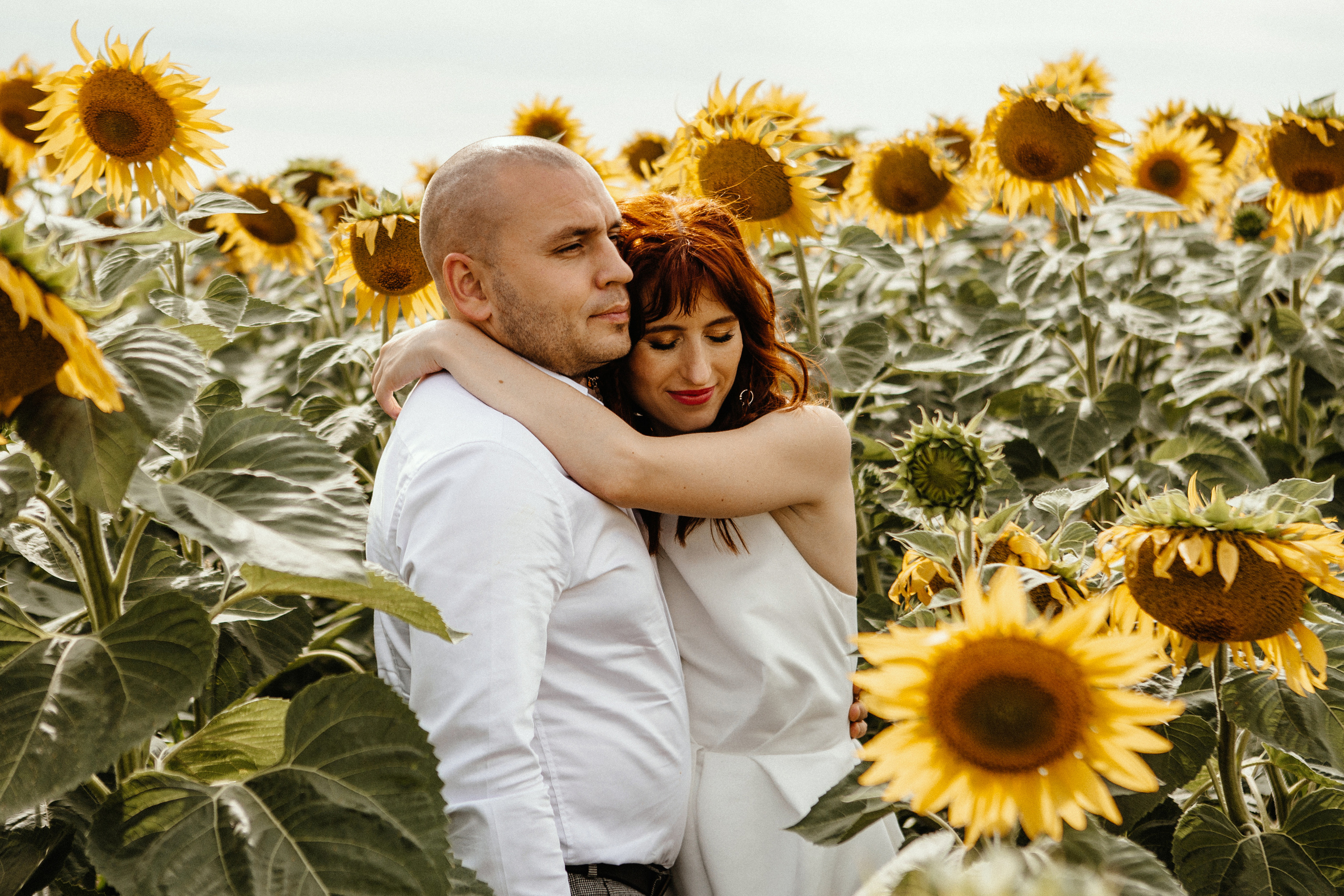 Солнце в подсолнухах. Фотограф в Тамбове Ольга Мельникова