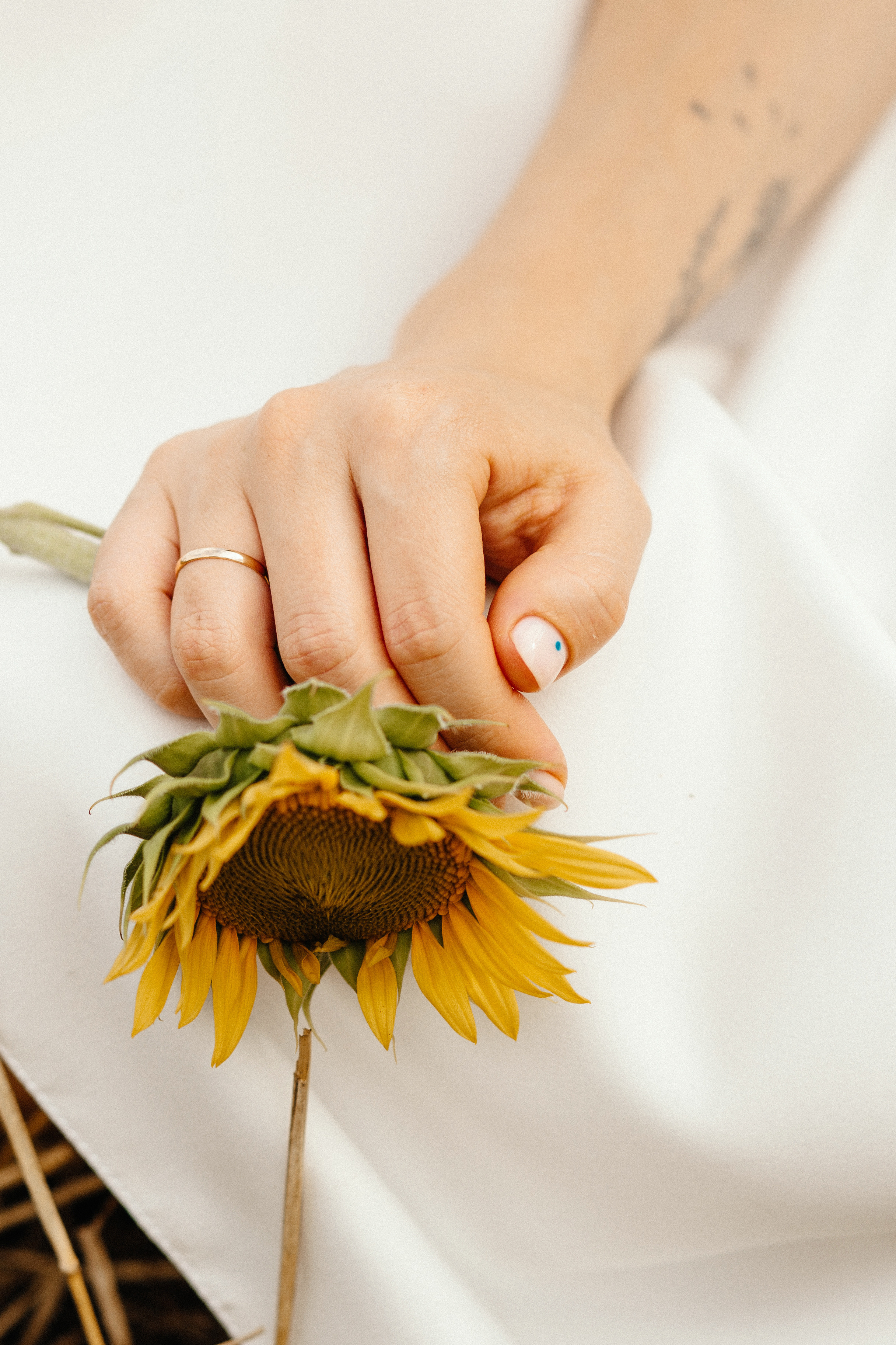 Солнце в подсолнухах. Фотограф в Тамбове Ольга Мельникова