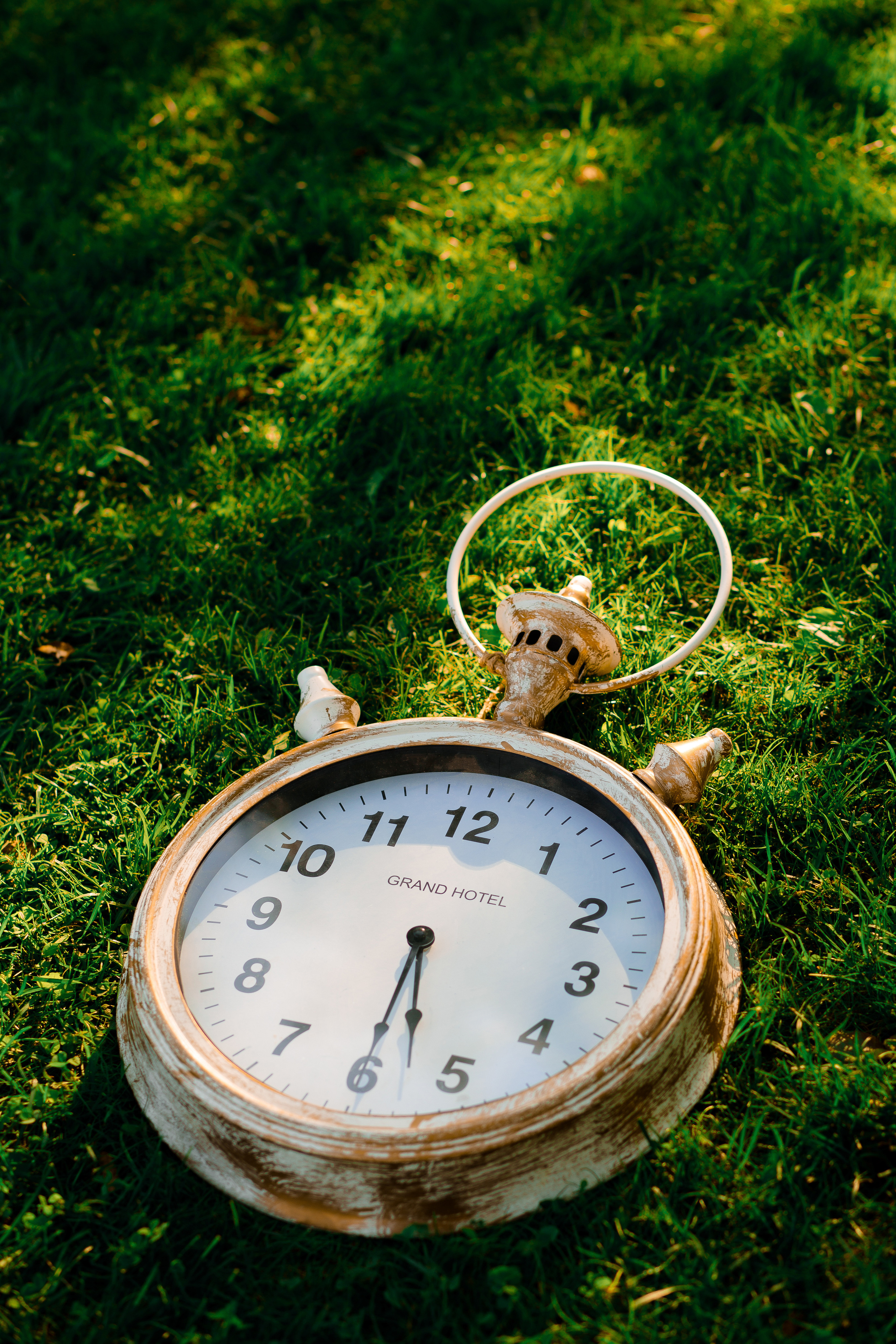 Принцессы в сказочном саду (для агентства праздников). Фотограф в Тамбове Ольга Мельникова