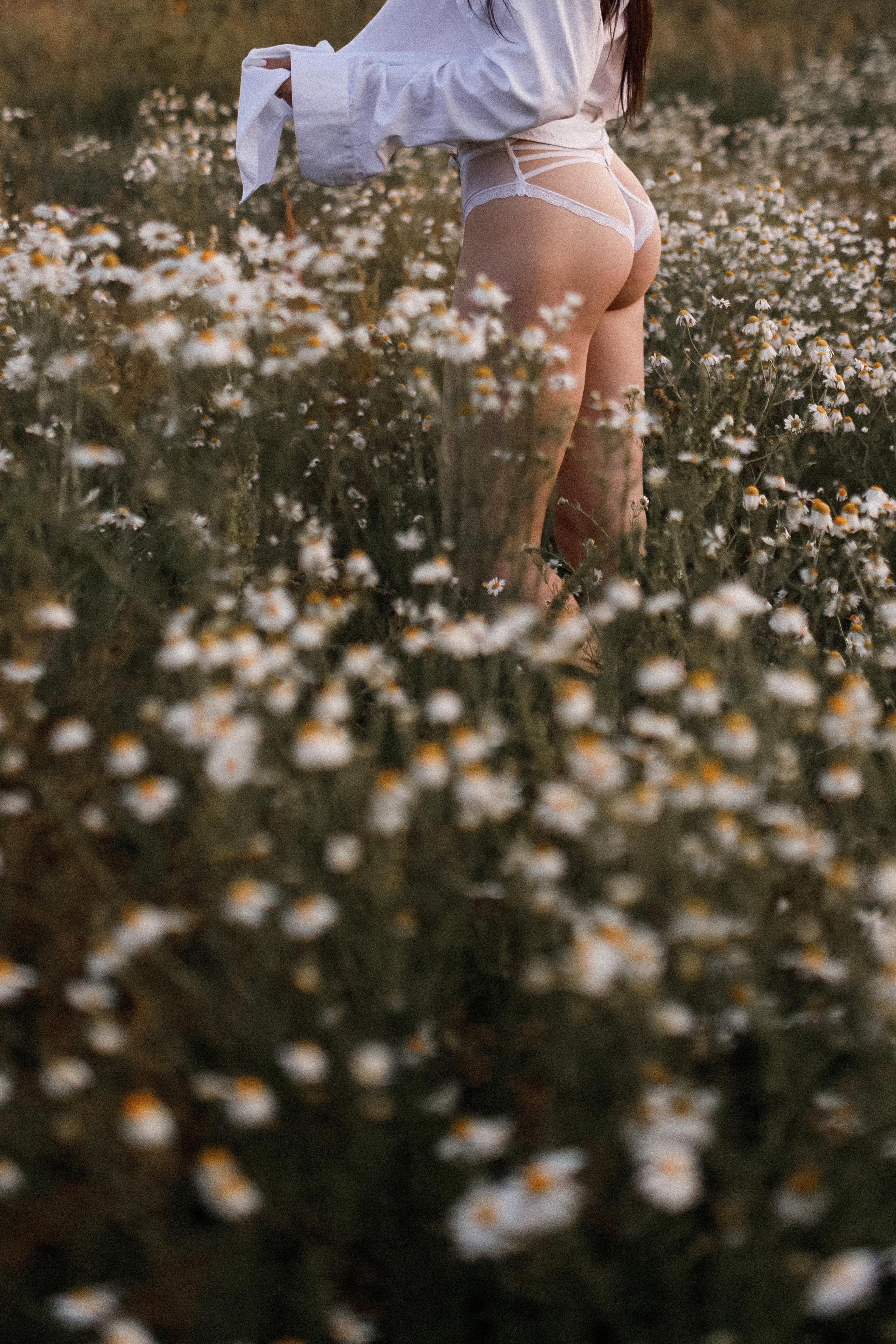 Ромашковое поле. Фотограф в Тамбове Ольга Мельникова