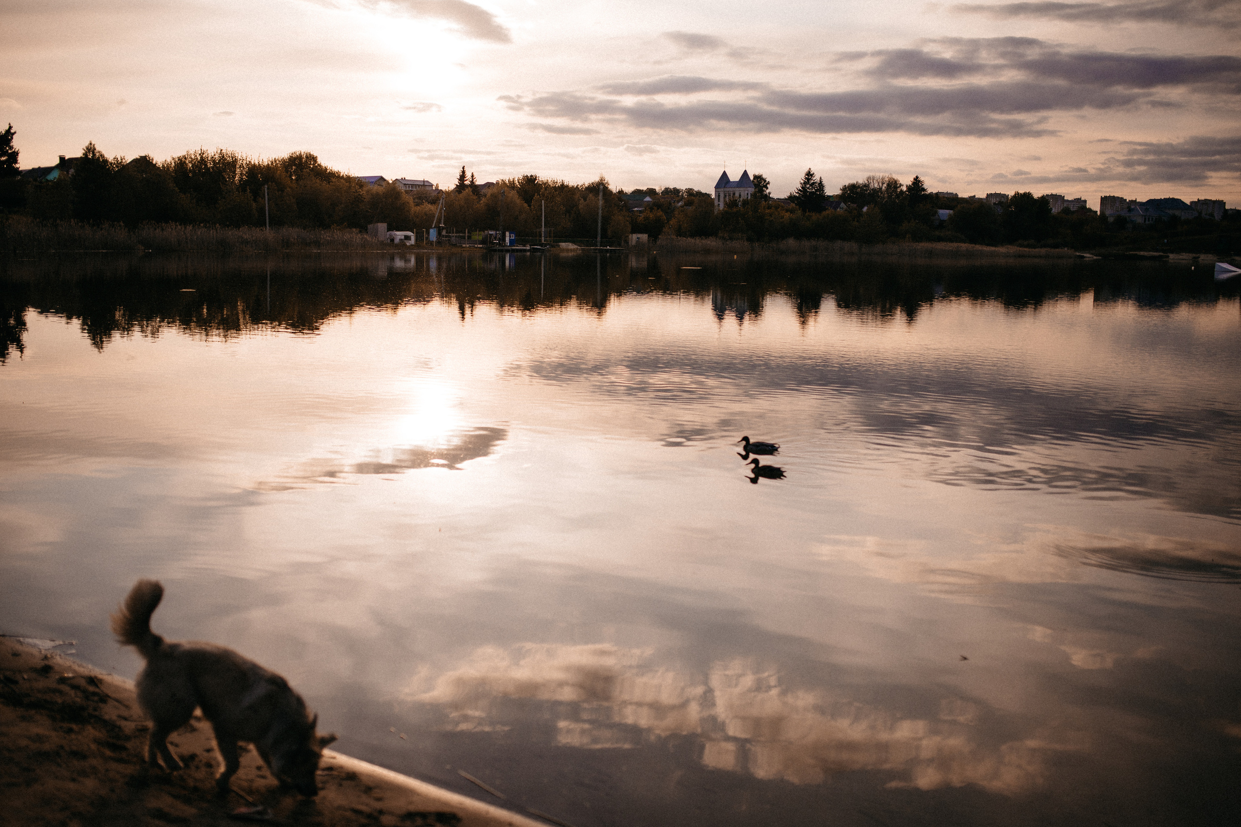 Аня. Прогулка на закате. Фотограф в Тамбове Ольга Мельникова