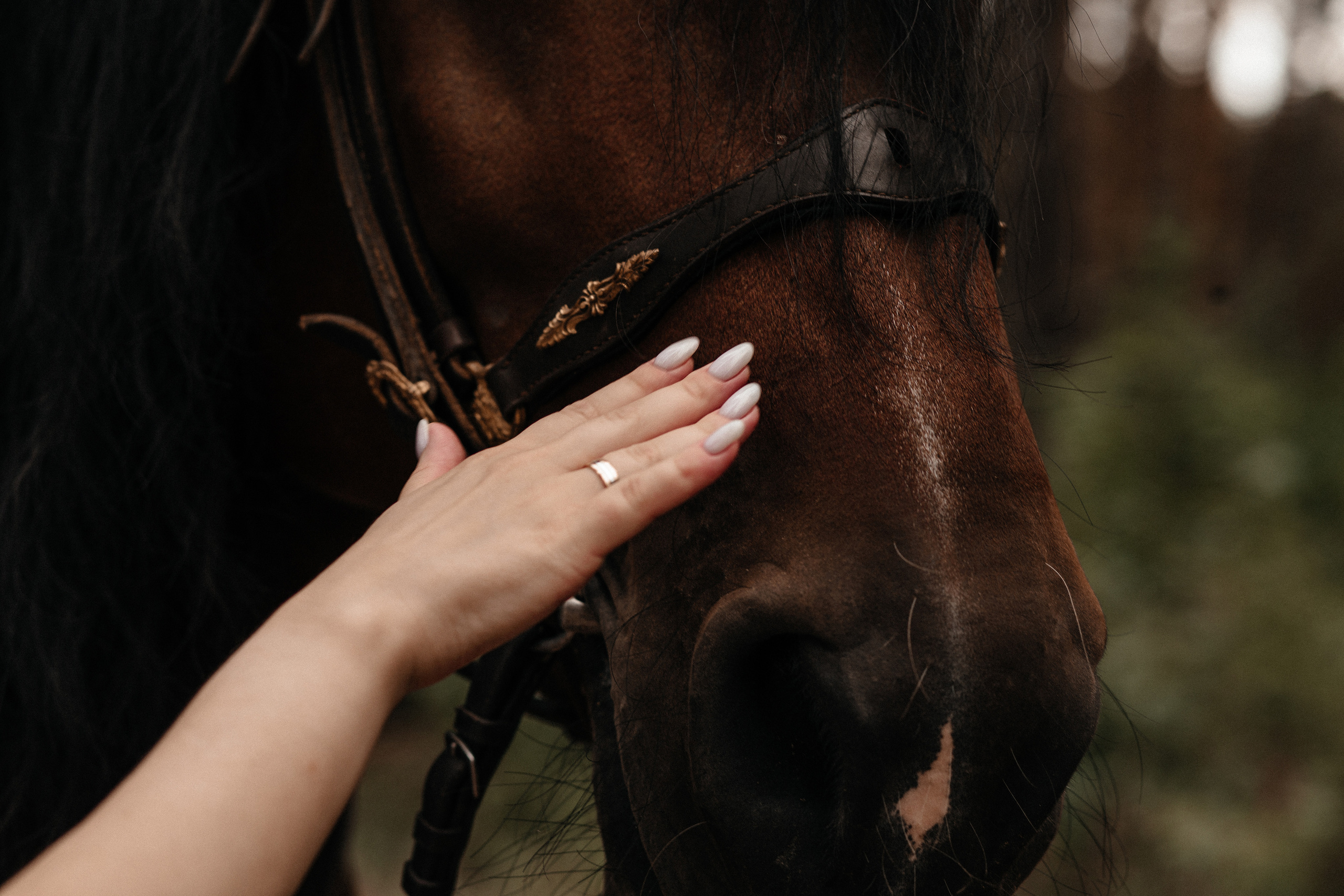«Лесная сказка». Фотограф в Тамбове Ольга Мельникова