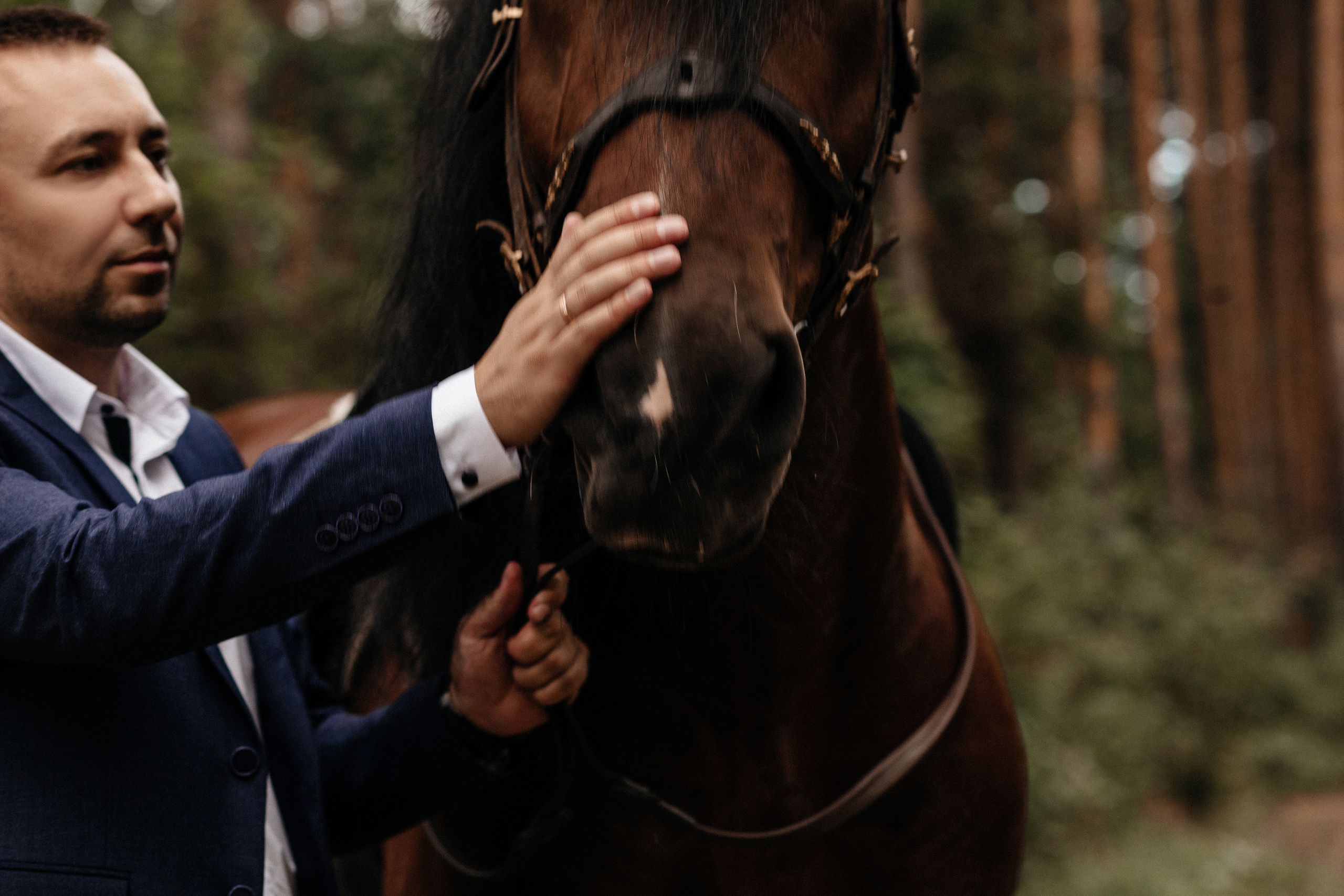 «Лесная сказка». Фотограф в Тамбове Ольга Мельникова