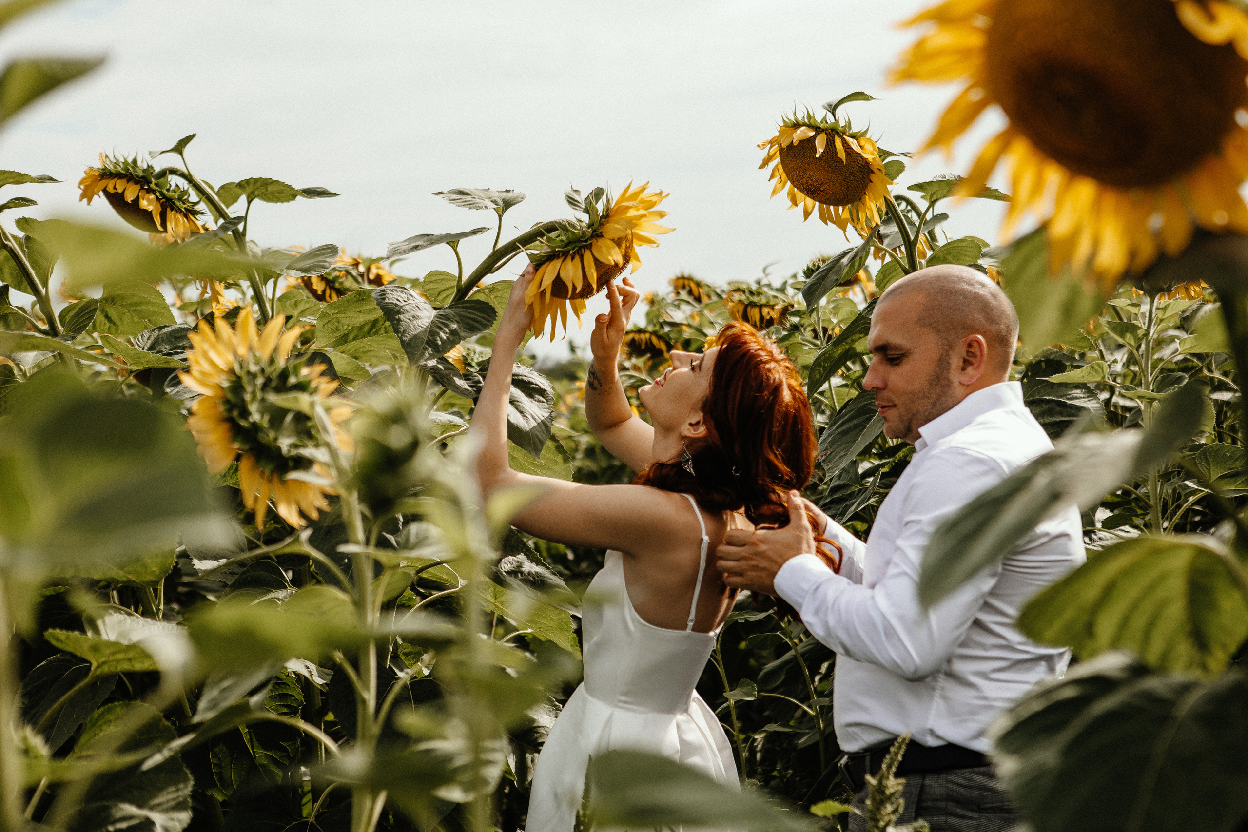 Солнце в подсолнухах. Фотограф в Тамбове Ольга Мельникова
