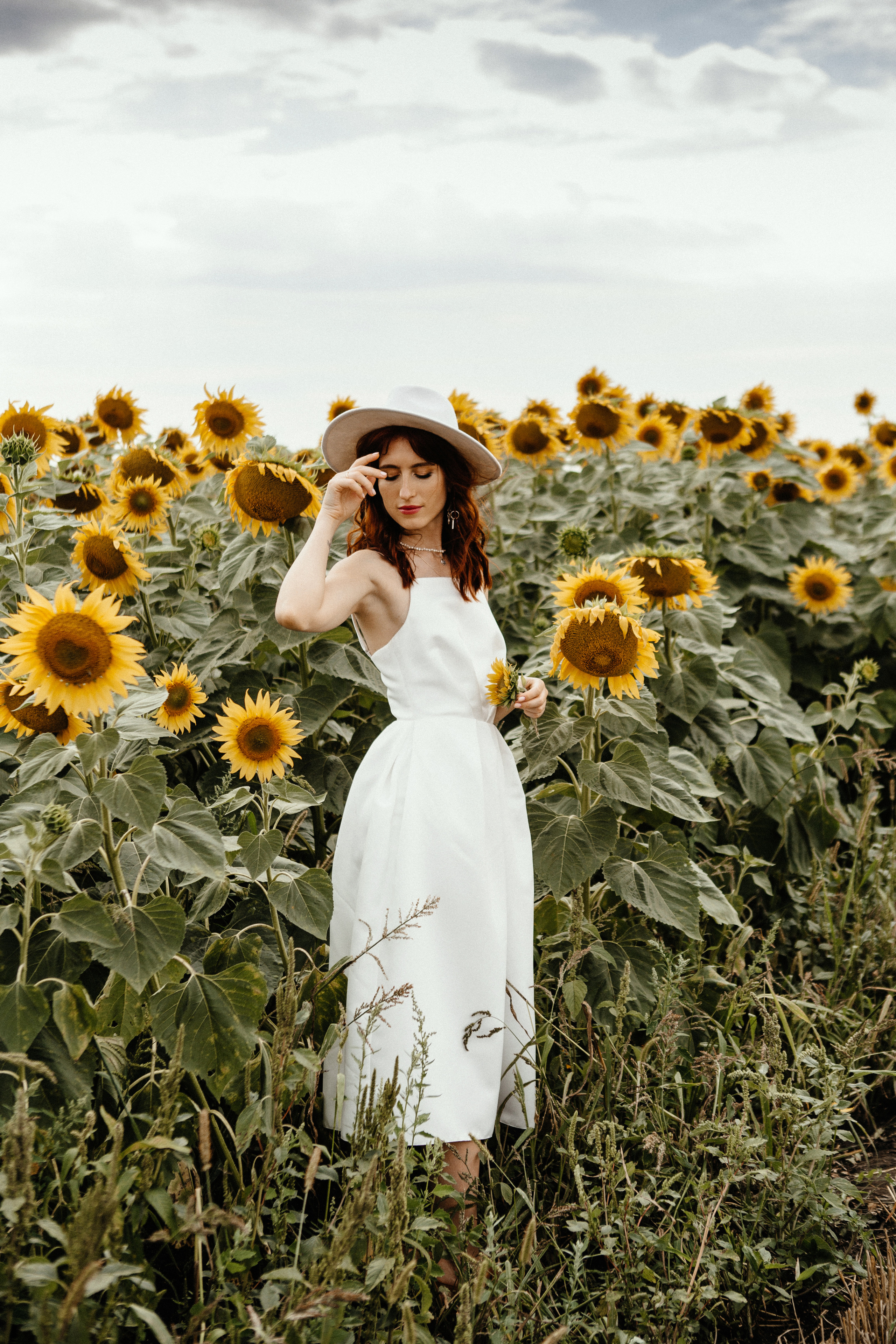 Солнце в подсолнухах. Фотограф в Тамбове Ольга Мельникова